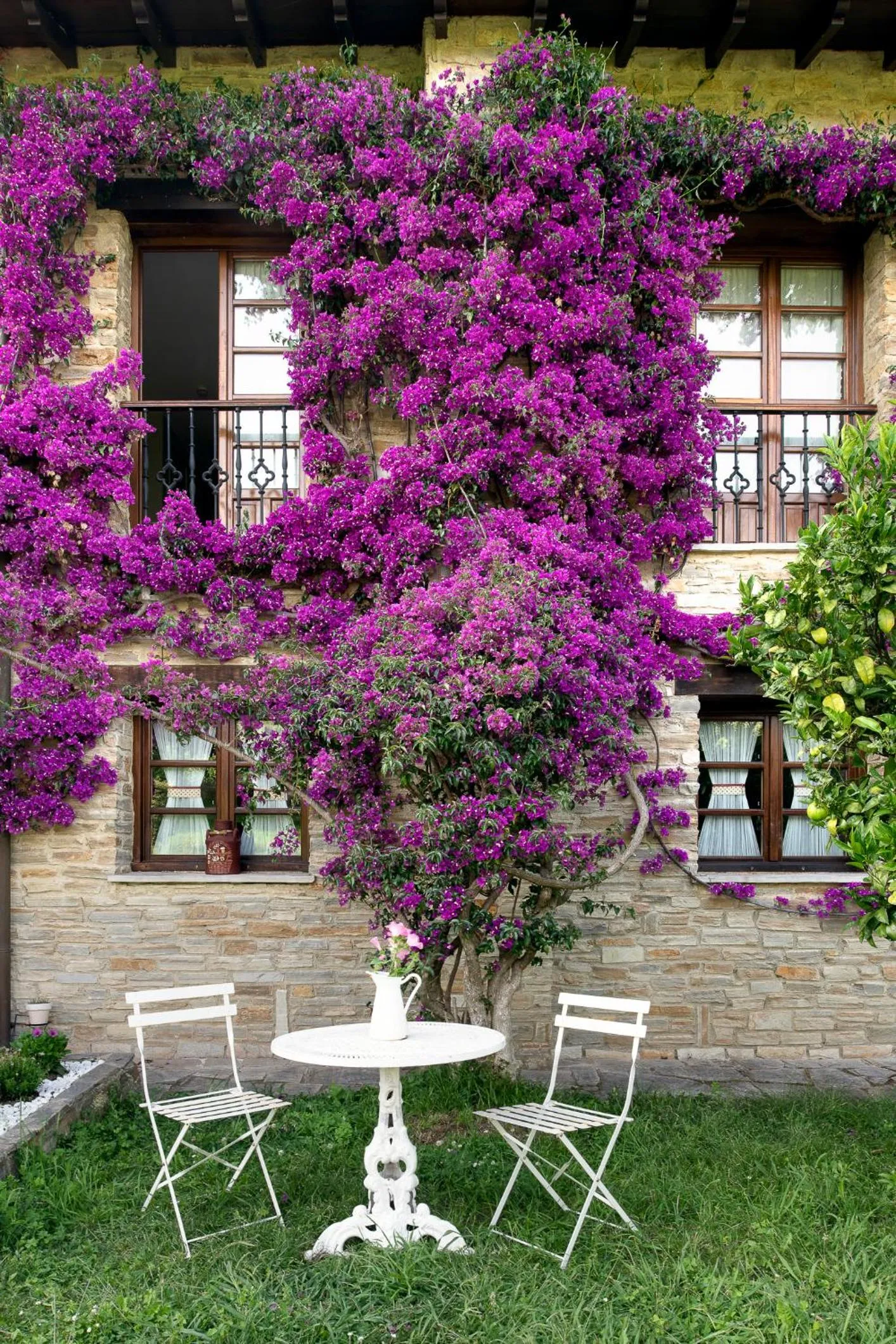 Garden in Hotel Rural Casona de Cefontes