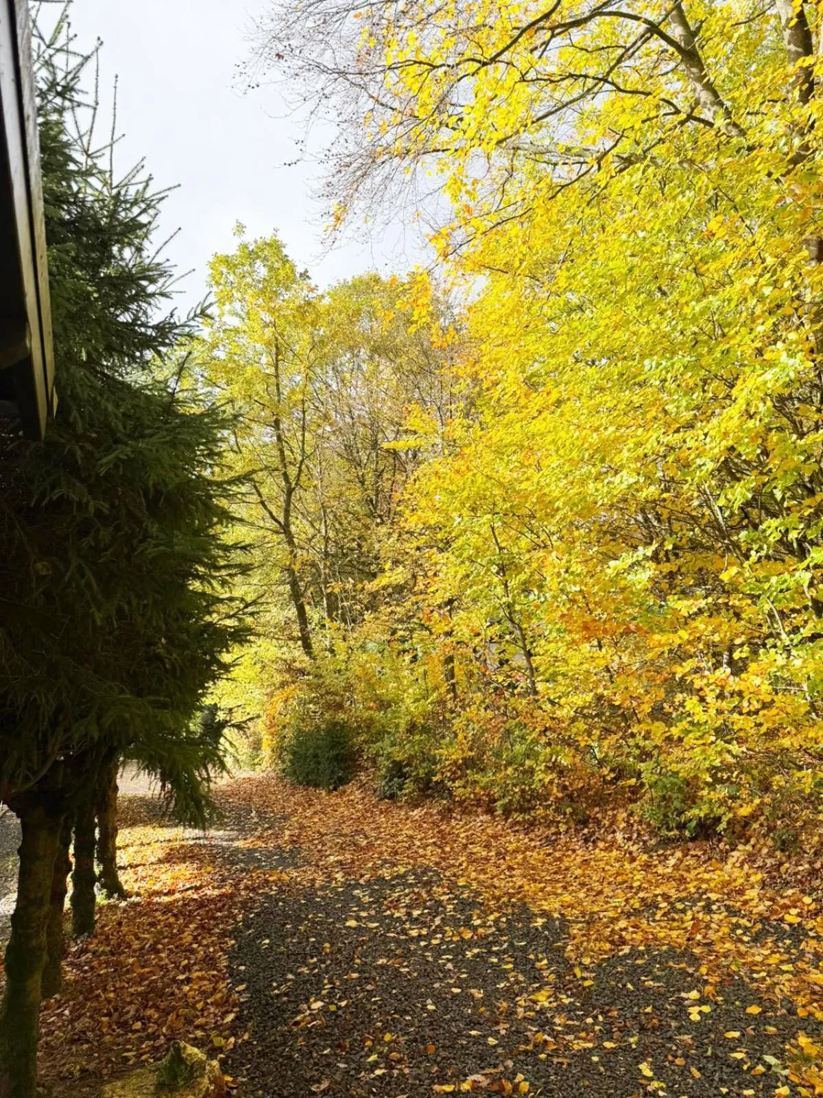 Area and facilities in Gästehotel Lucendi Premium Lounge
