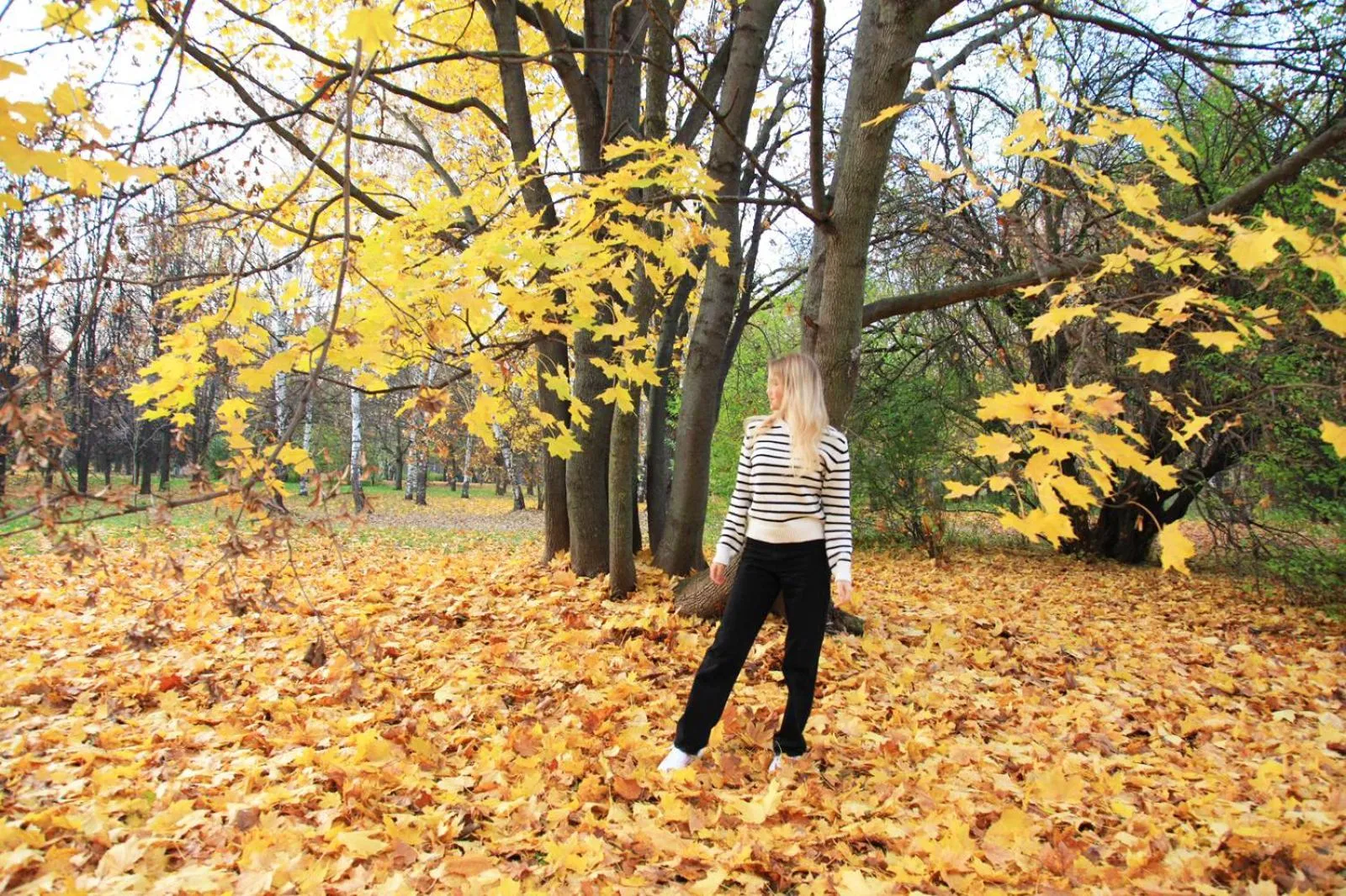 Area and facilities in Gästehotel Lucendi Premium Lounge