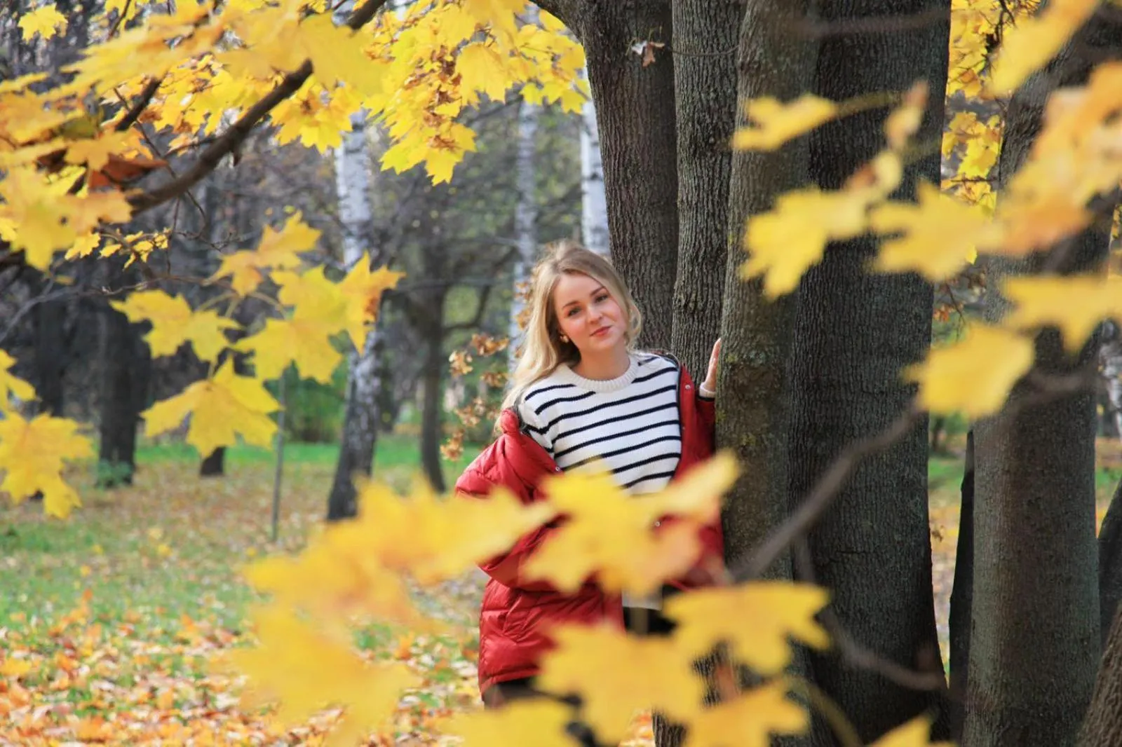 Activities in Gästehotel Lucendi Premium Lounge