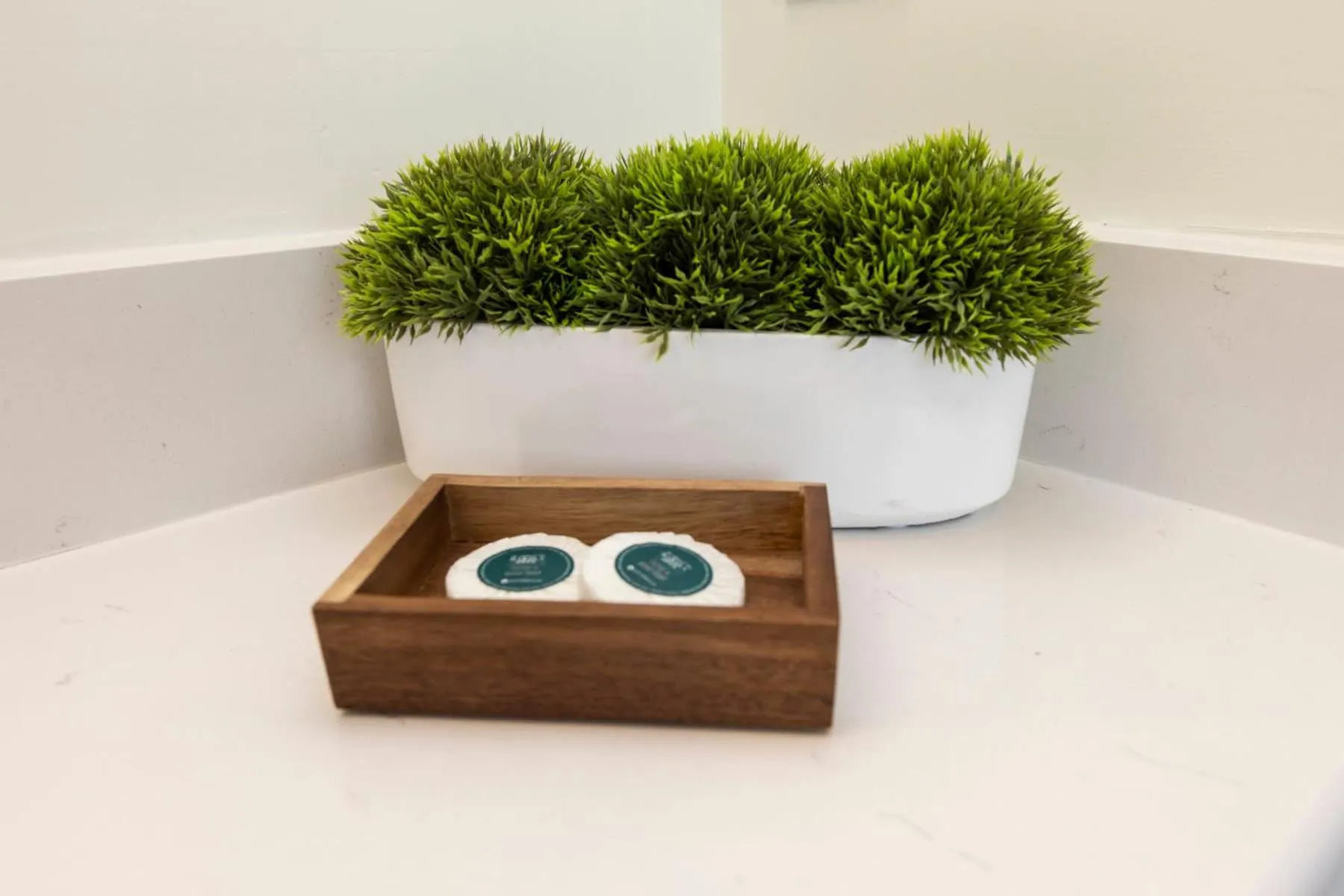 The Princess Anne 200 Inn at Old Beach