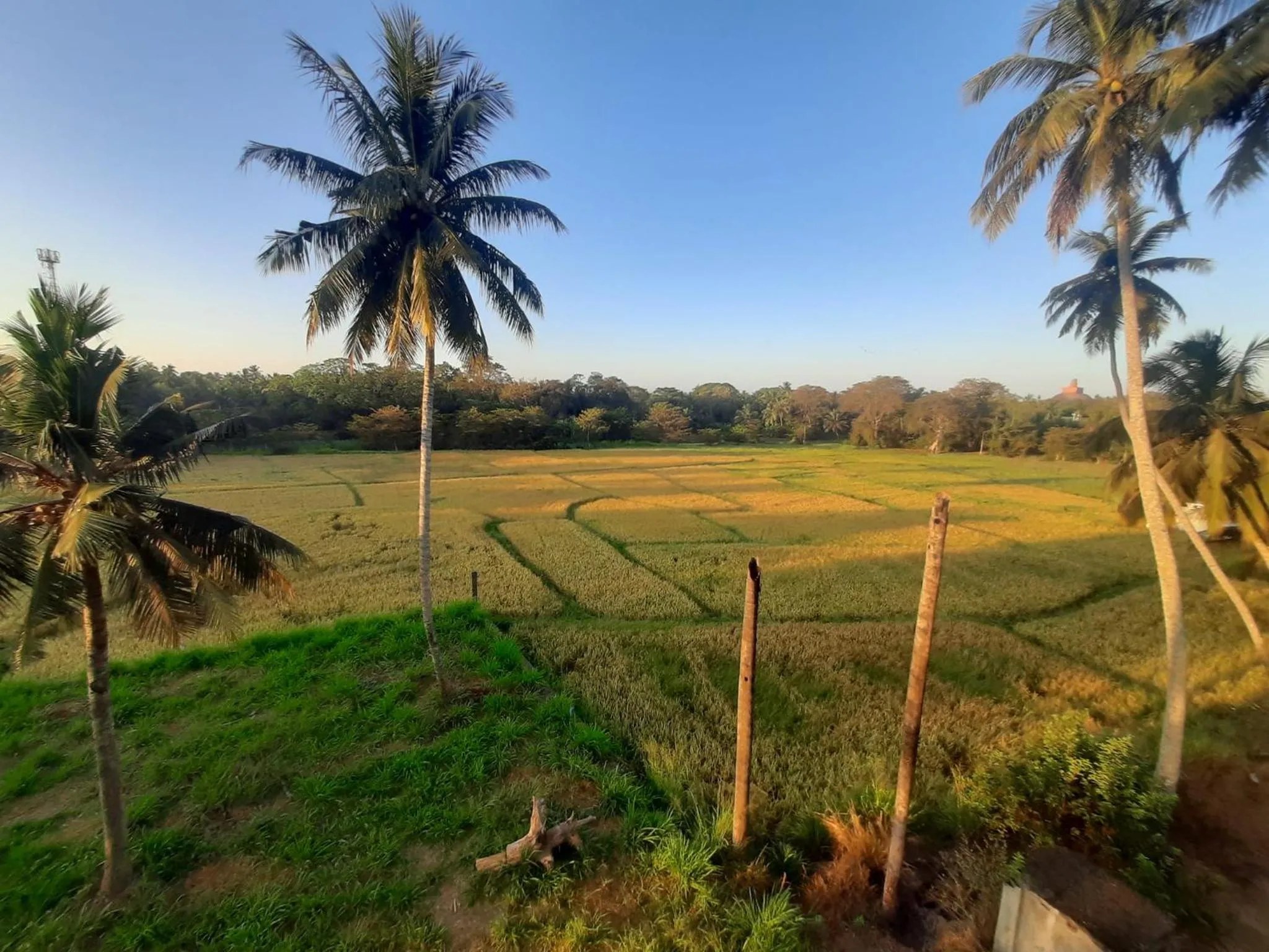 Natural landscape in Anuradhapura Kingdom View Resort