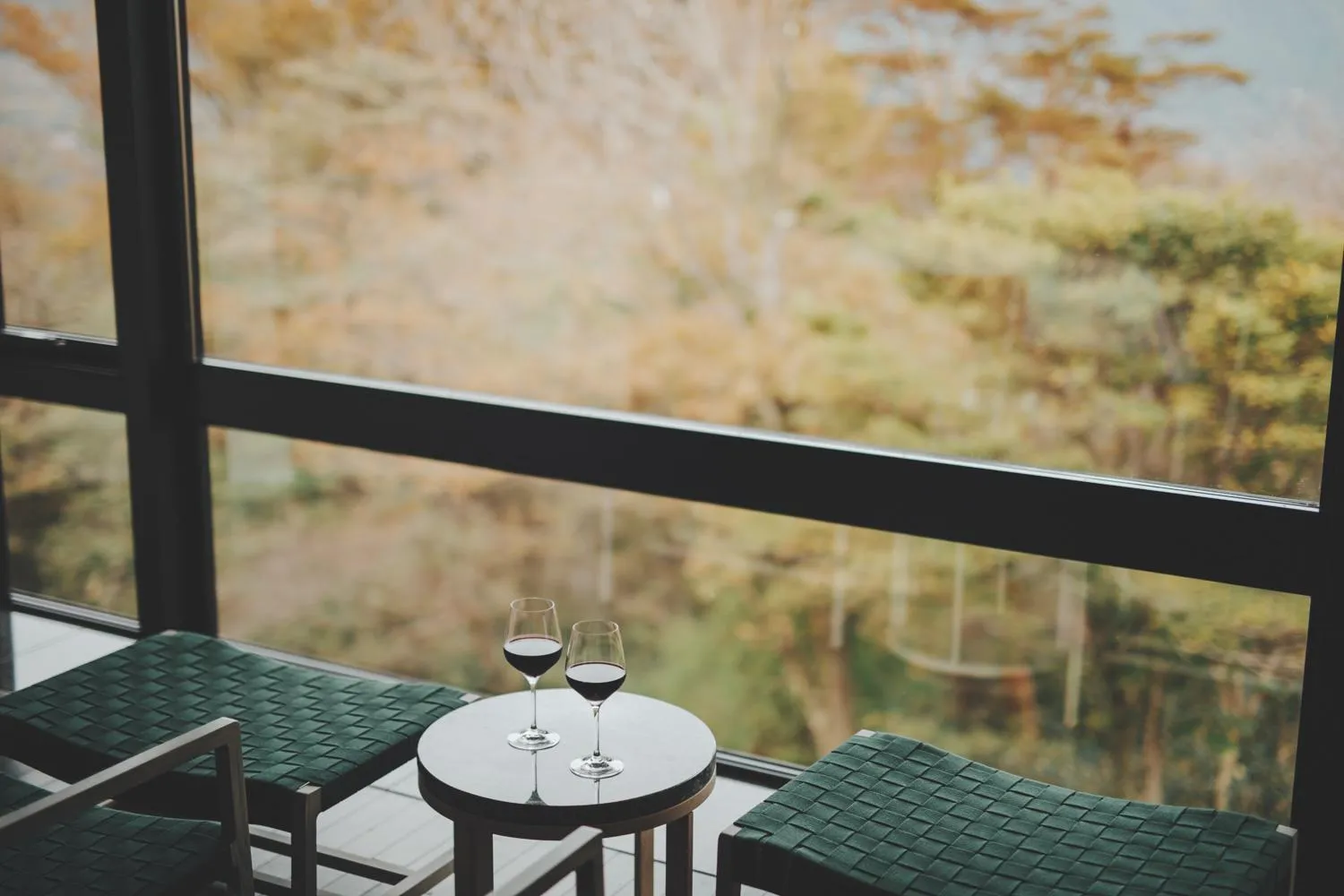 View (from property/room) in KANAYA RESORT HAKONE