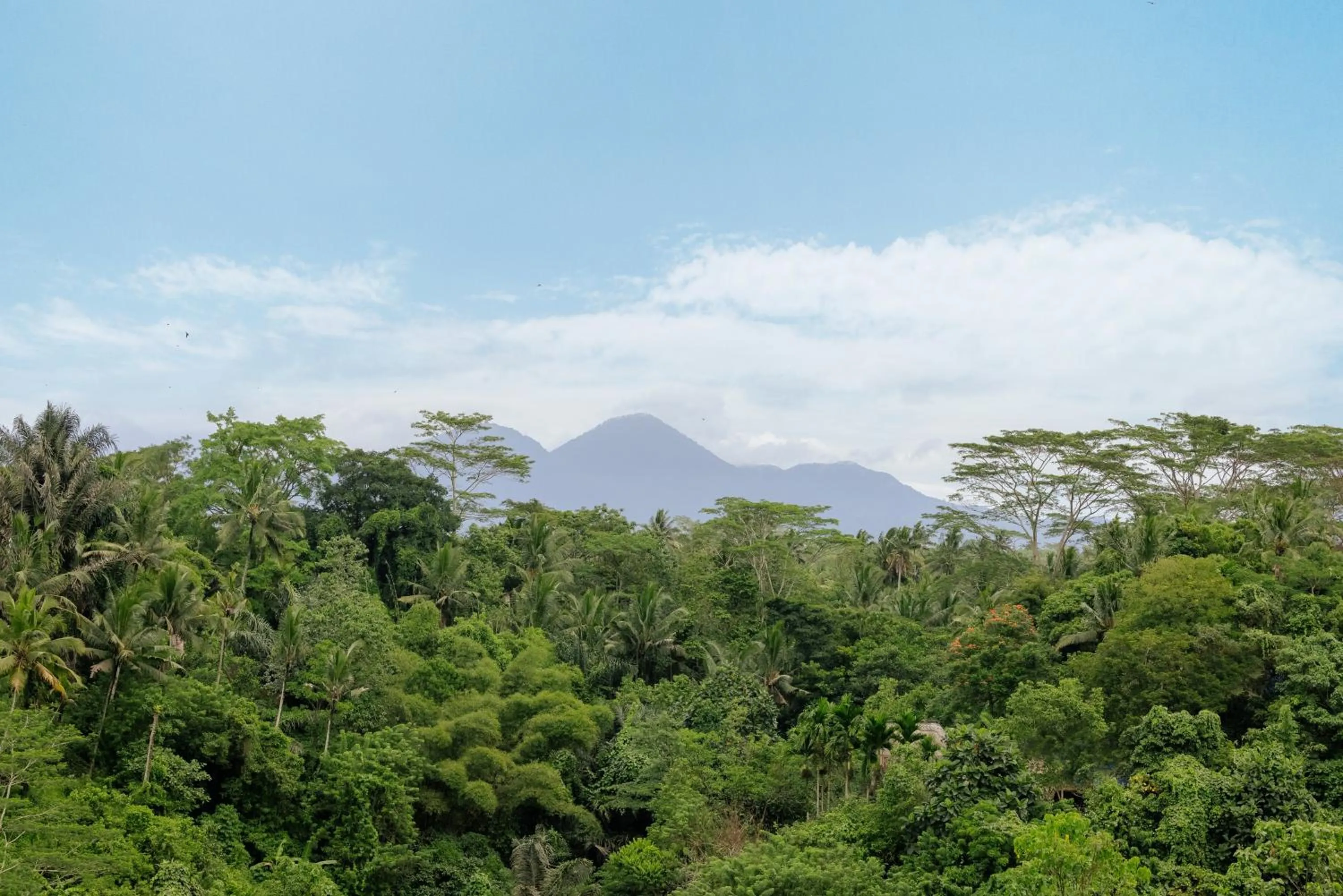 View (from property/room) in Horison Ume Suites & Villas