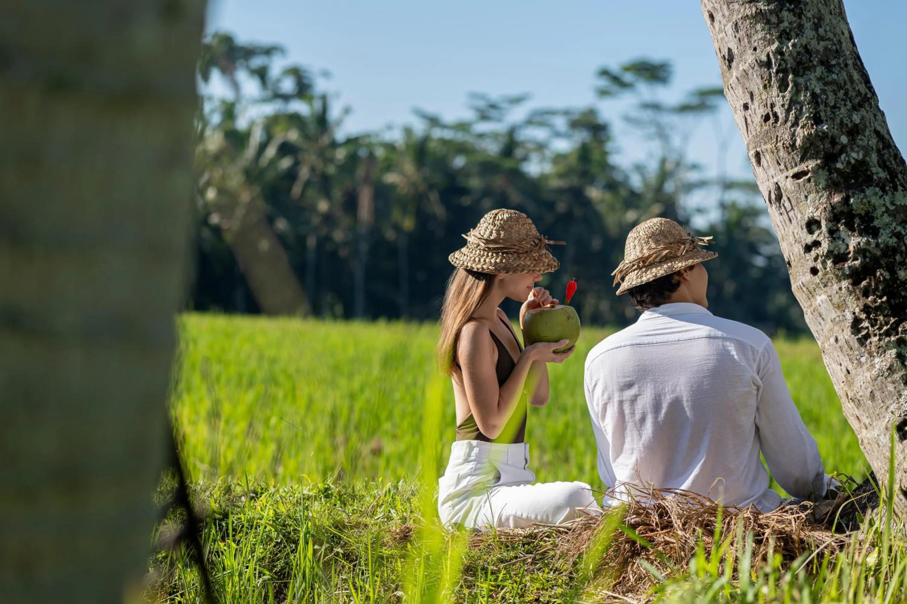 Natural landscape in Metland Venya Ubud