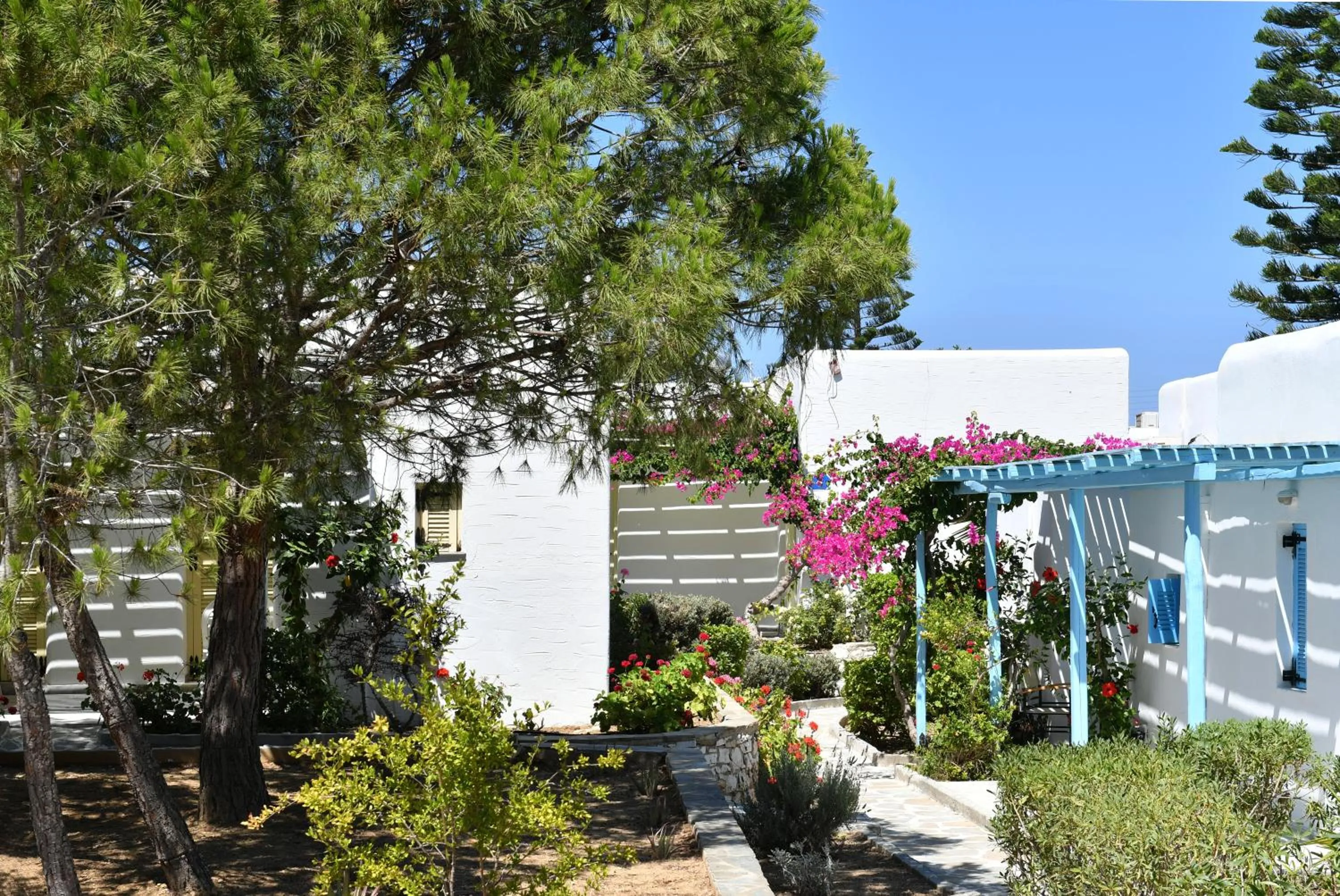 Garden in Surfing Beach Village Paros