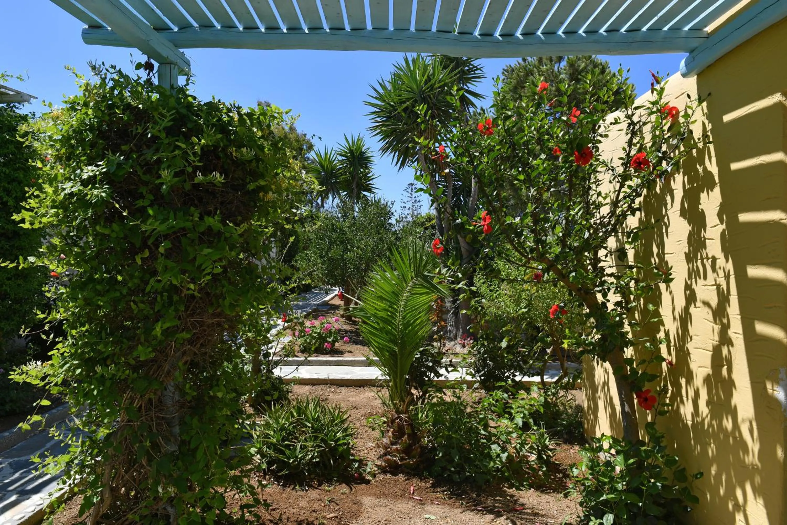 Garden in Surfing Beach Village Paros