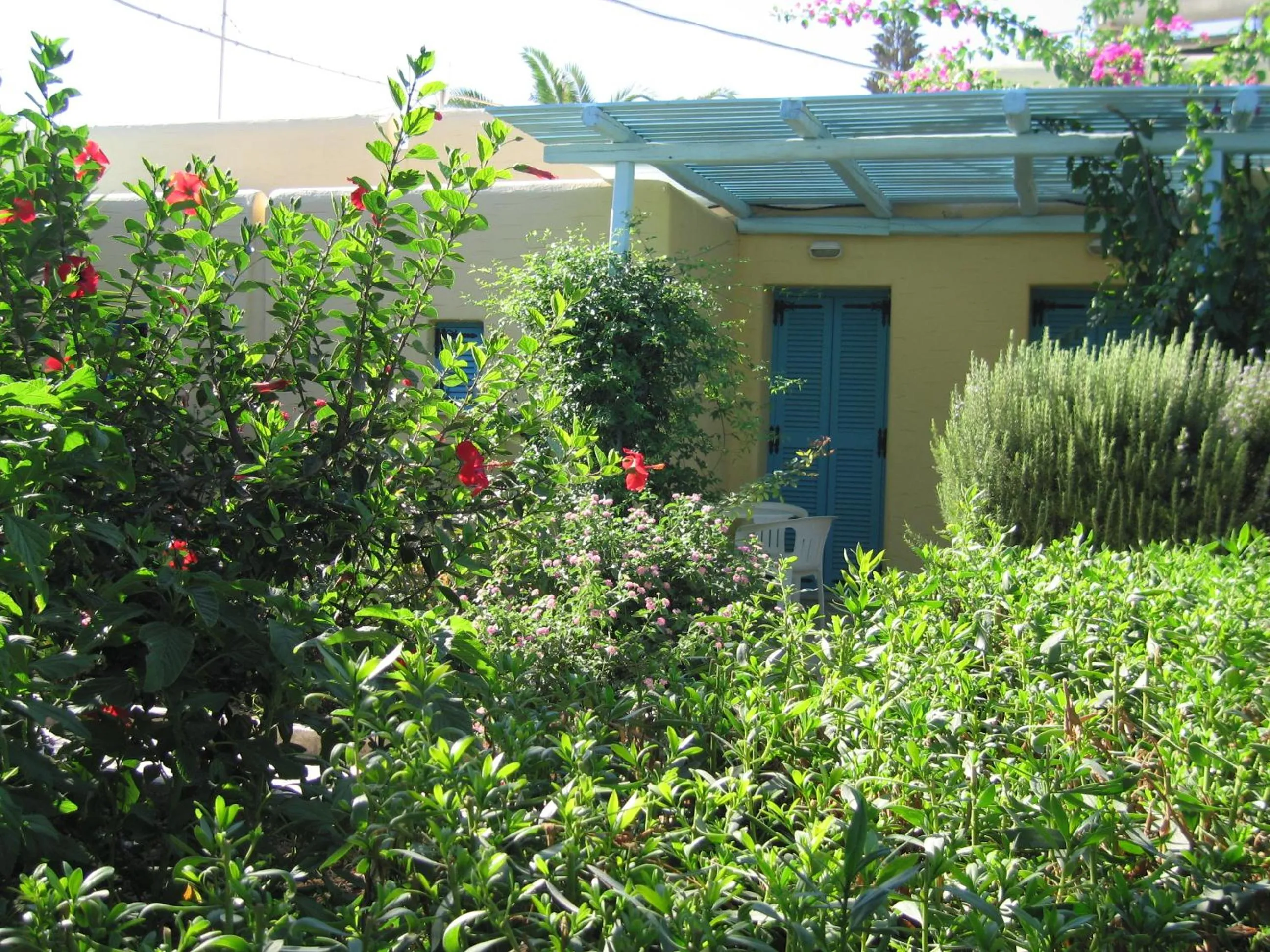 Garden in Surfing Beach Village Paros