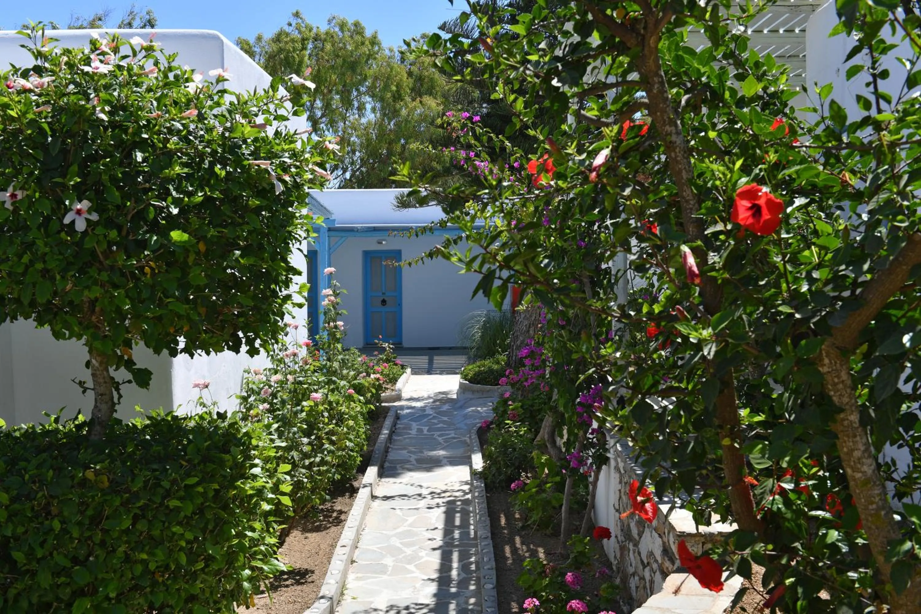 Garden in Surfing Beach Village Paros