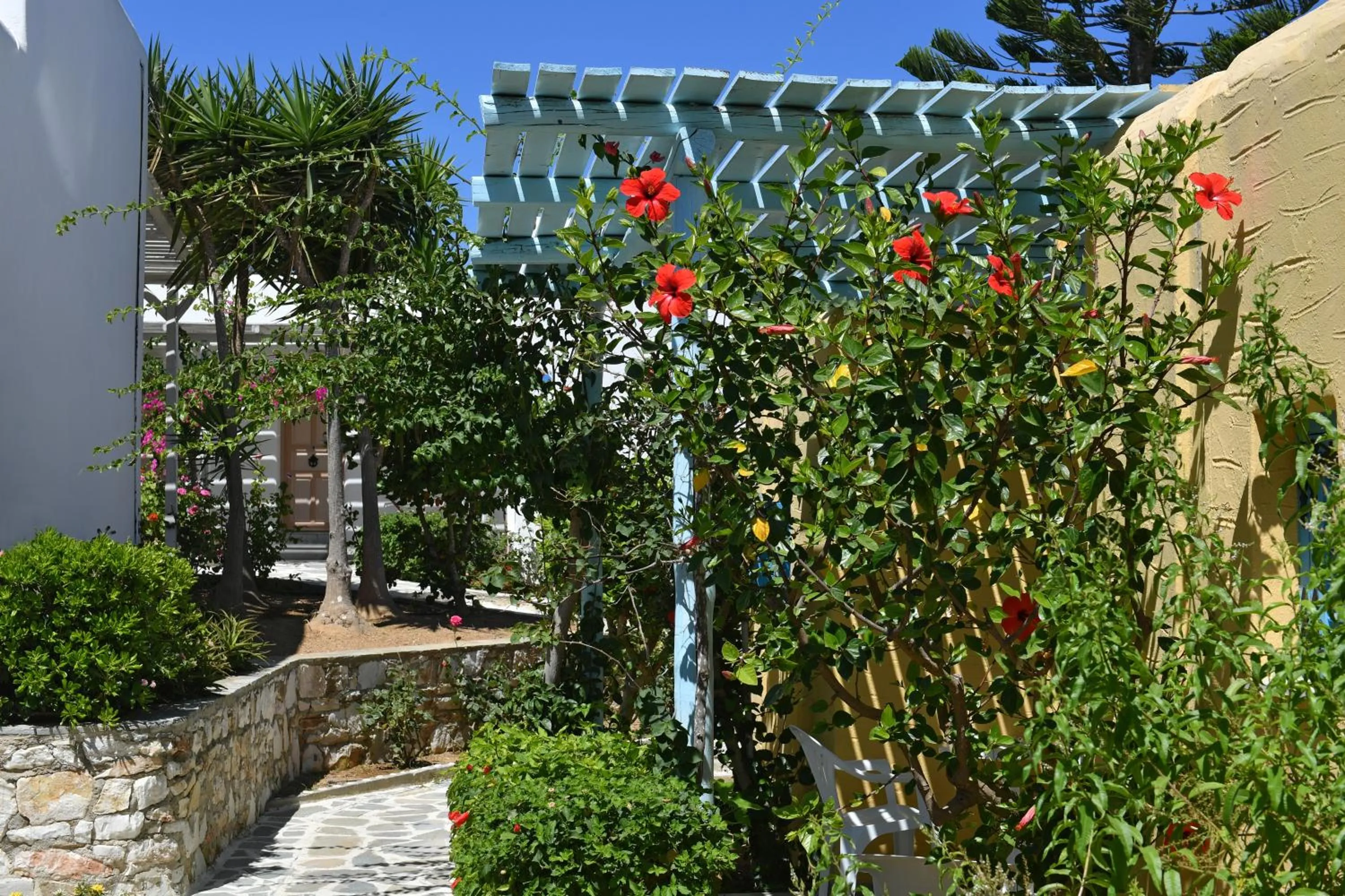 Garden in Surfing Beach Village Paros