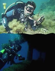 Snorkeling in Surfing Beach Village Paros