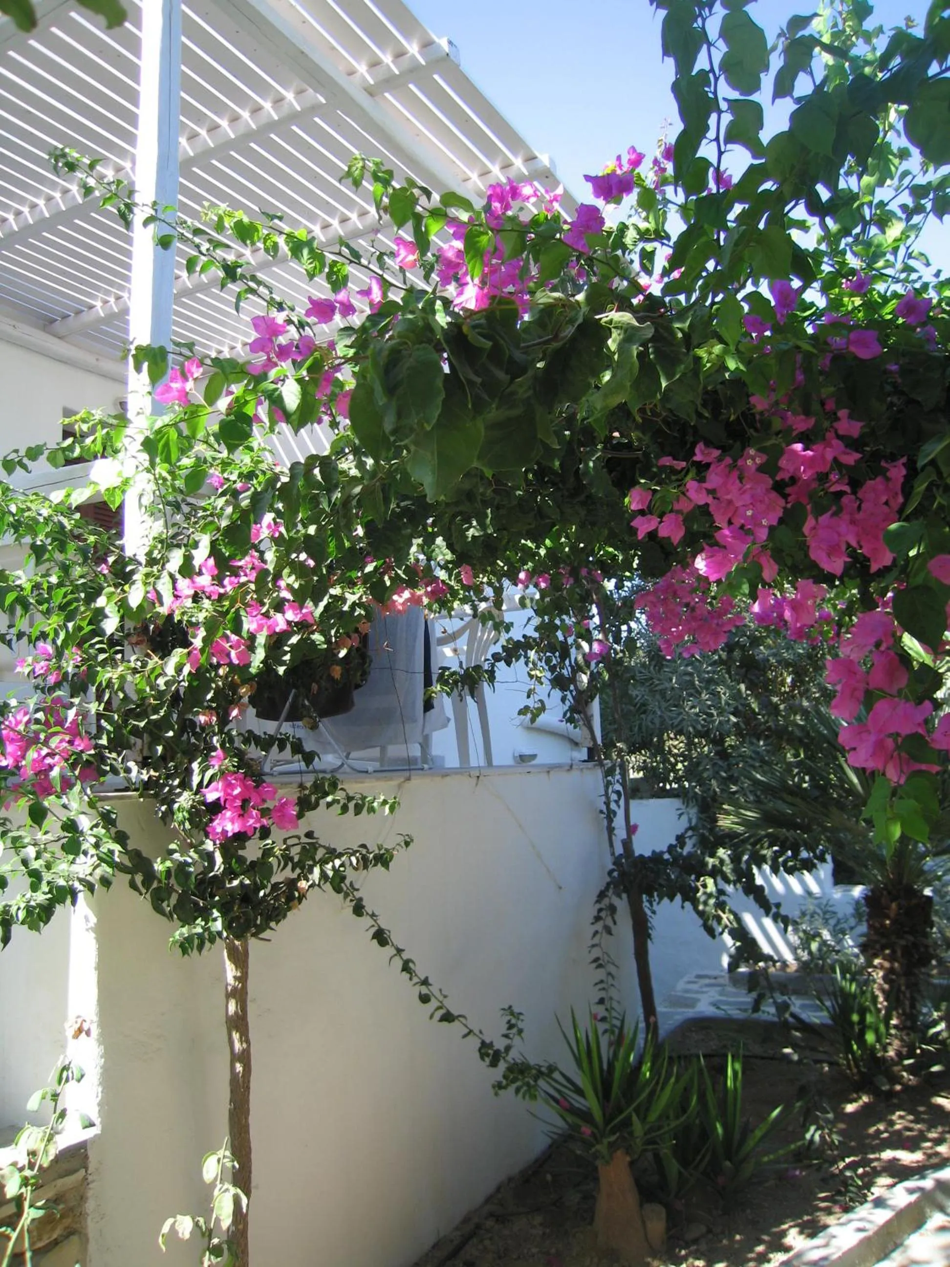Garden in Surfing Beach Village Paros