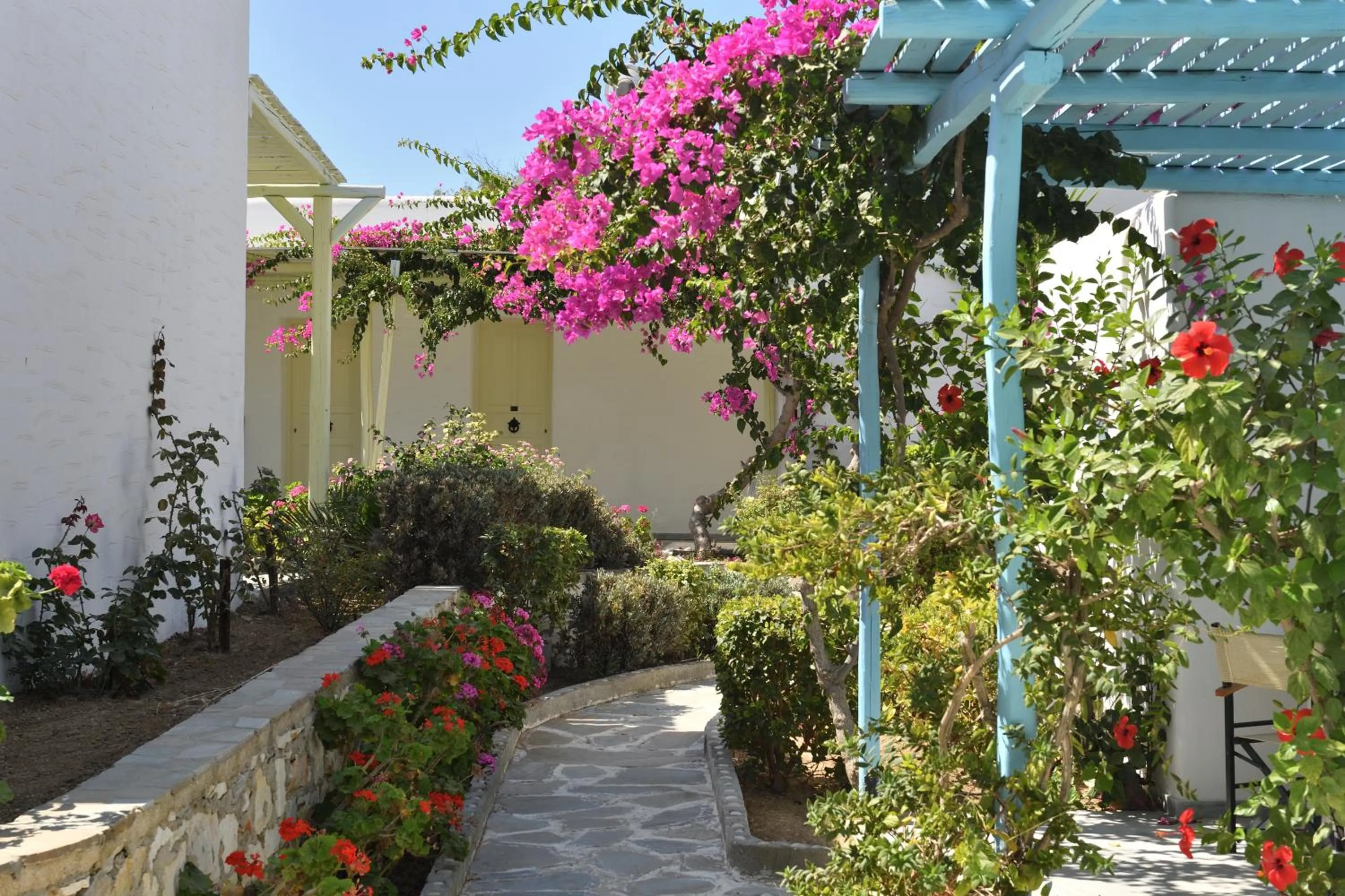 Garden in Surfing Beach Village Paros