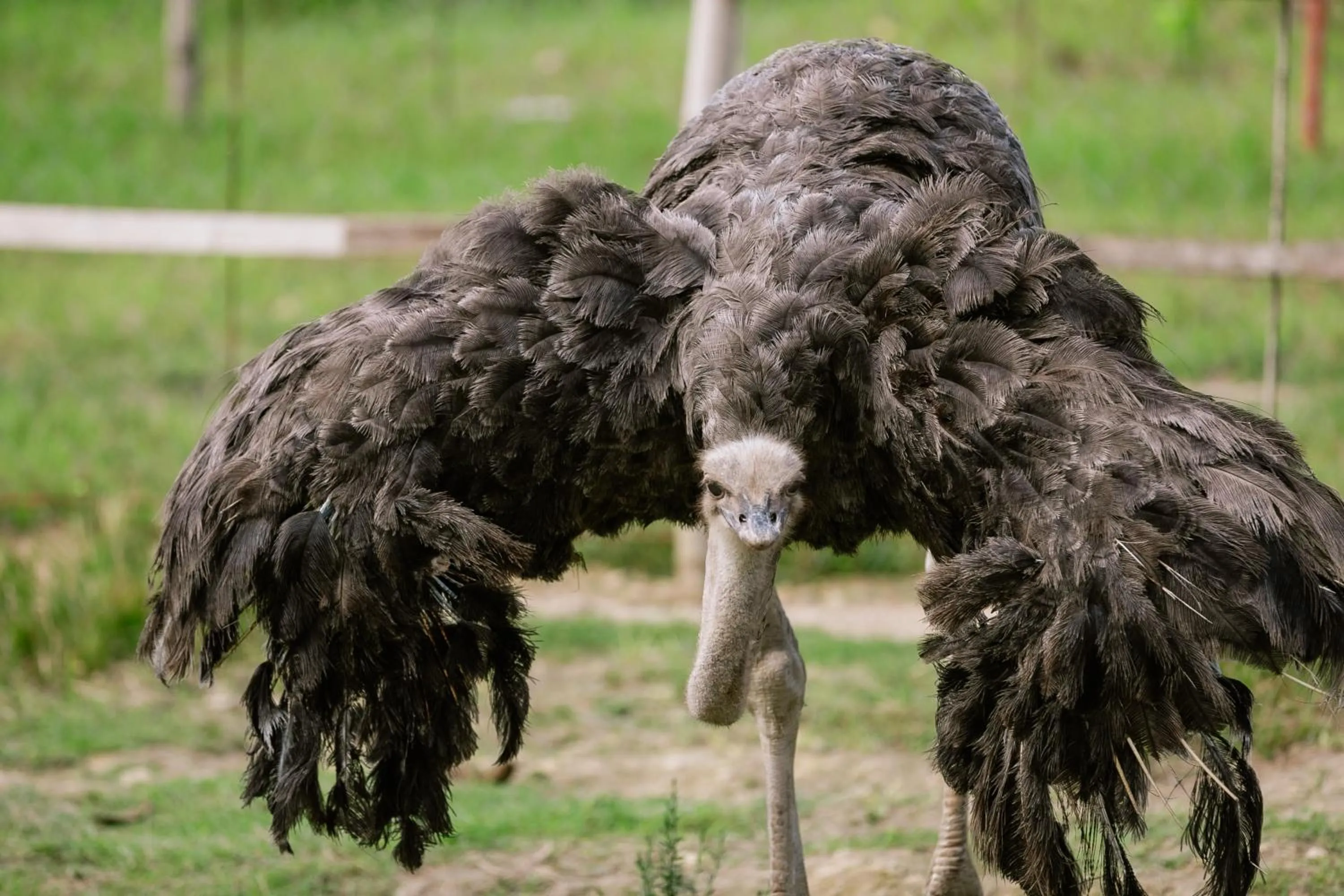 Property building in La Joya Farm Resort & Spa