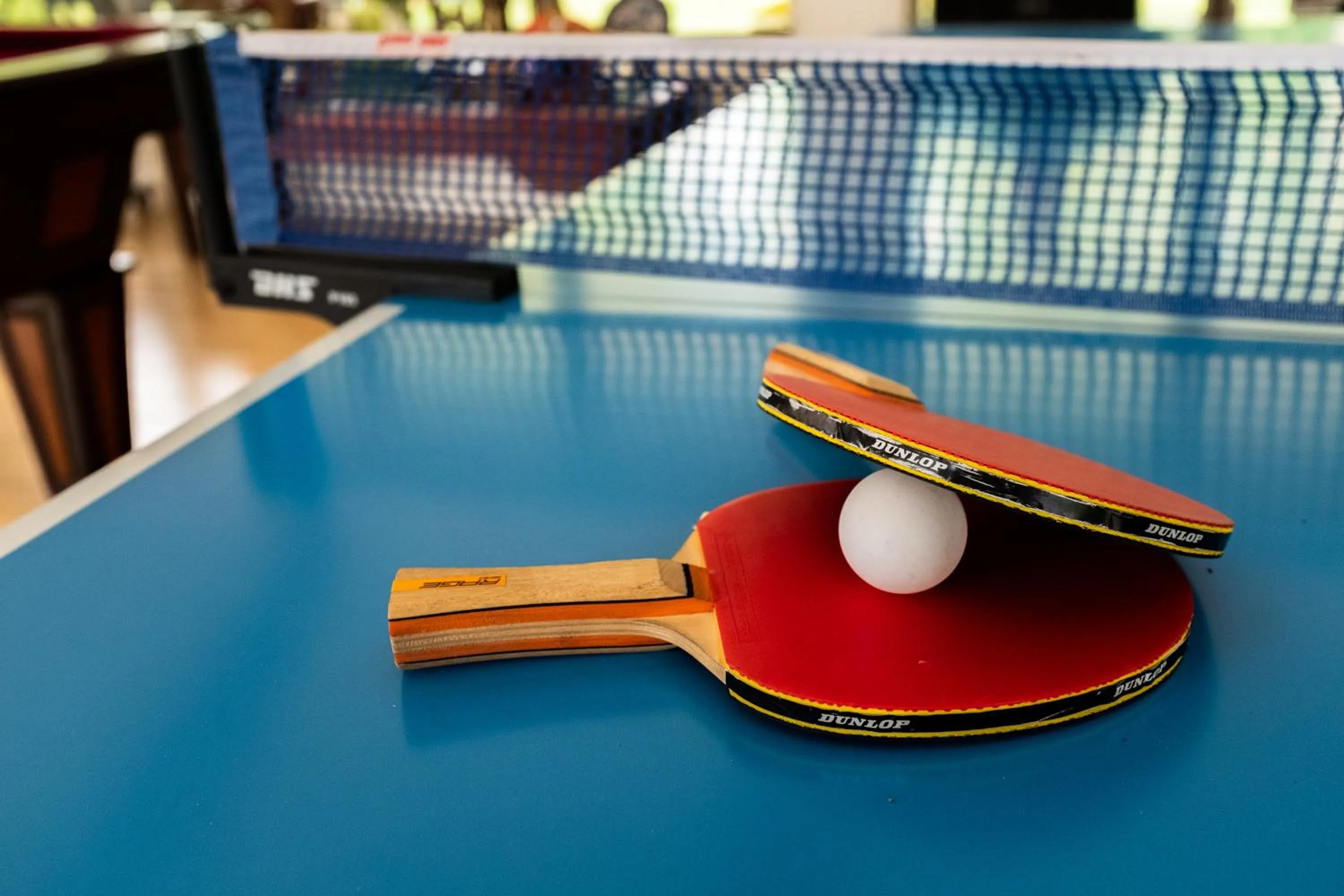 Game Room in La Joya Farm Resort & Spa