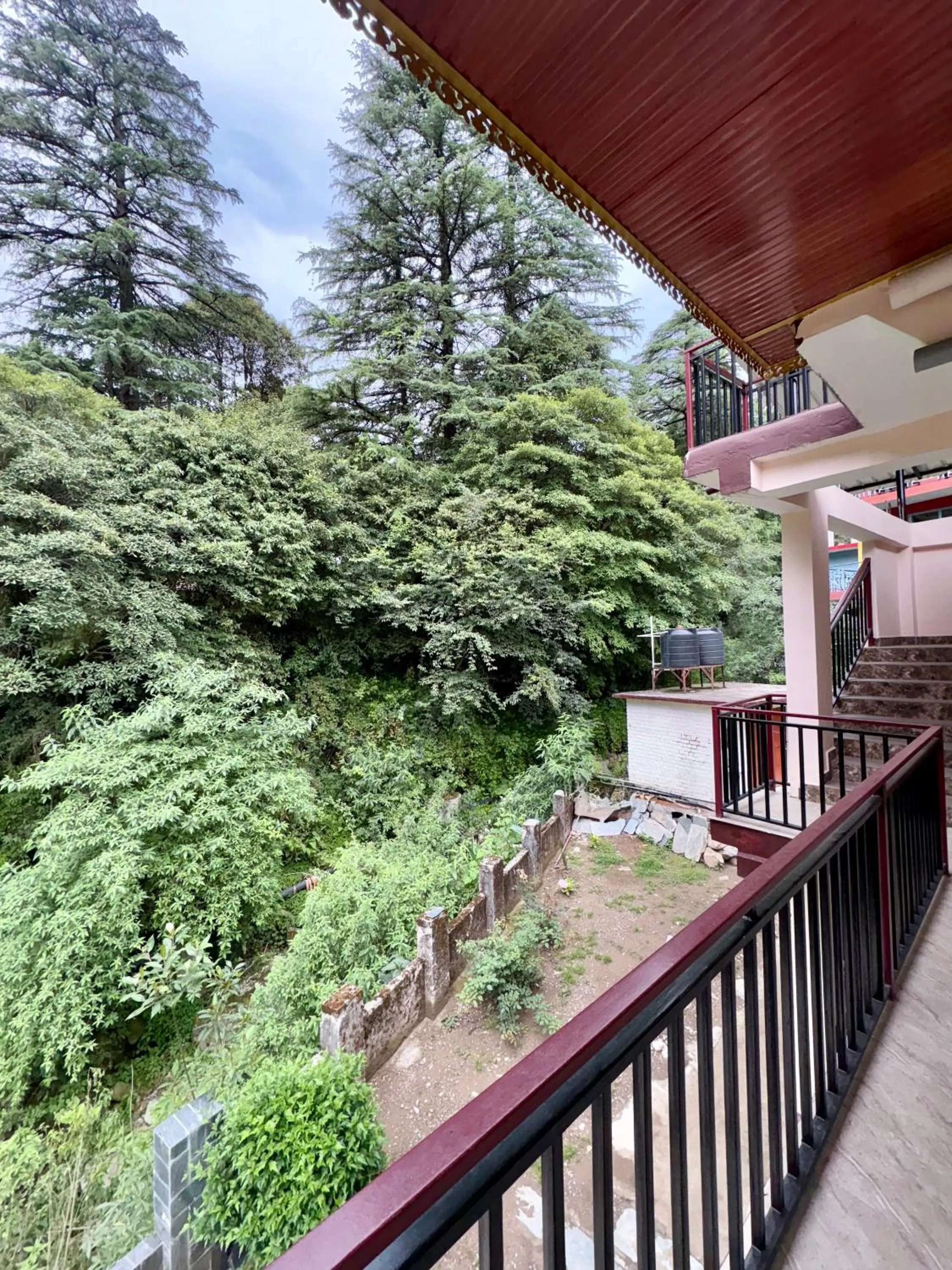 Natural landscape in Eevolve Dharamkot - An Eco Hostel