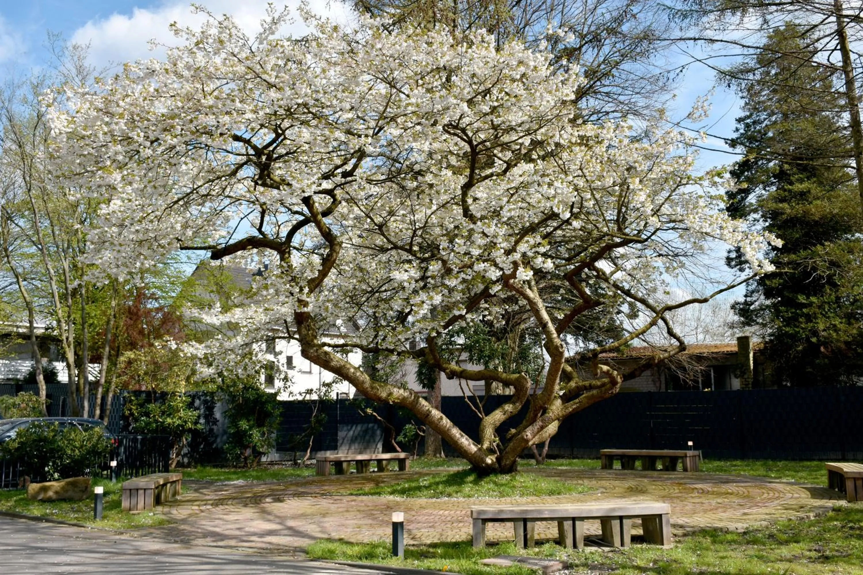 Spring in TIBET HOTEL am Airport Düsseldorf-Ratingen