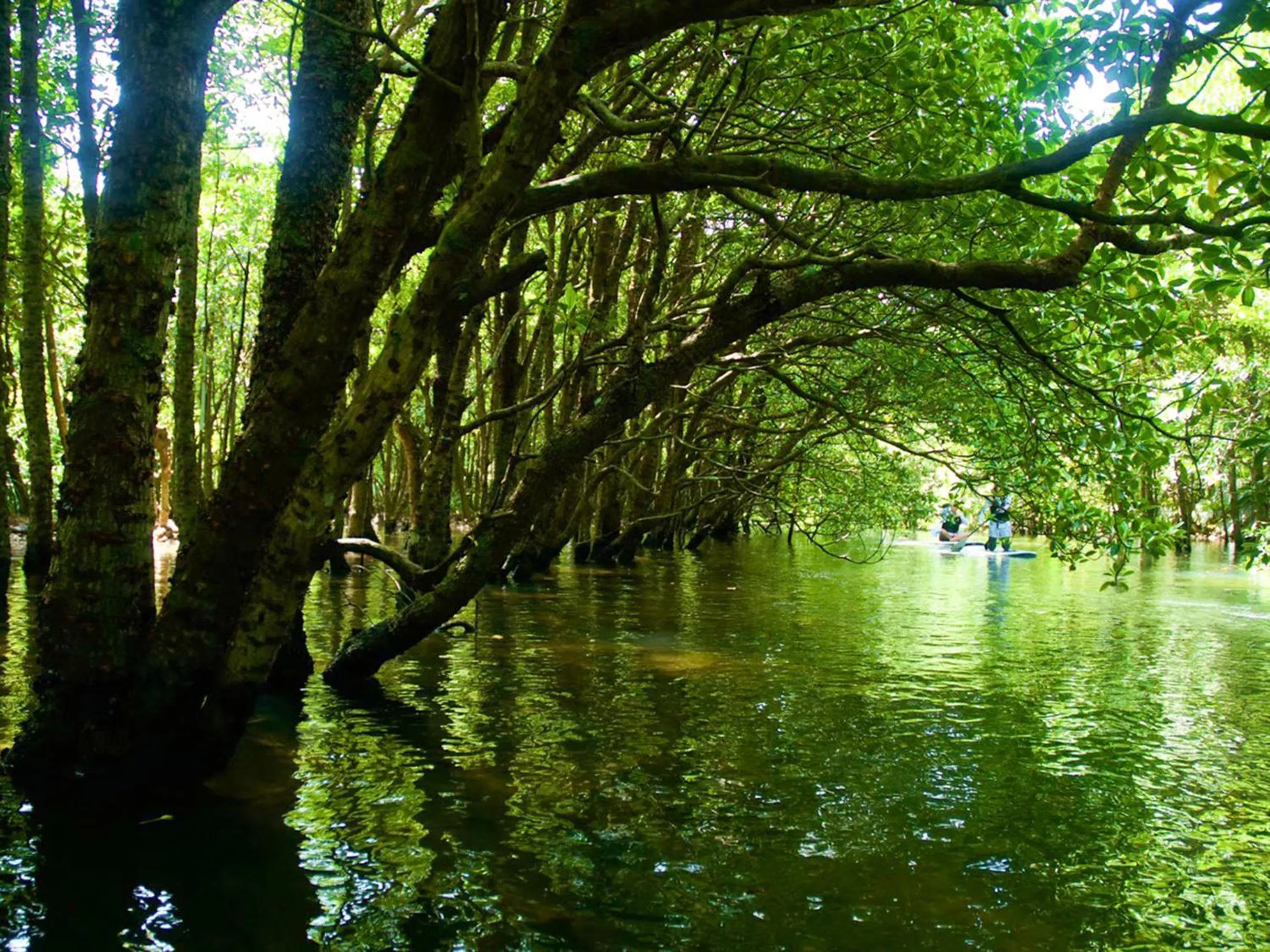 Off site in MORIYA iriomote HOTEL