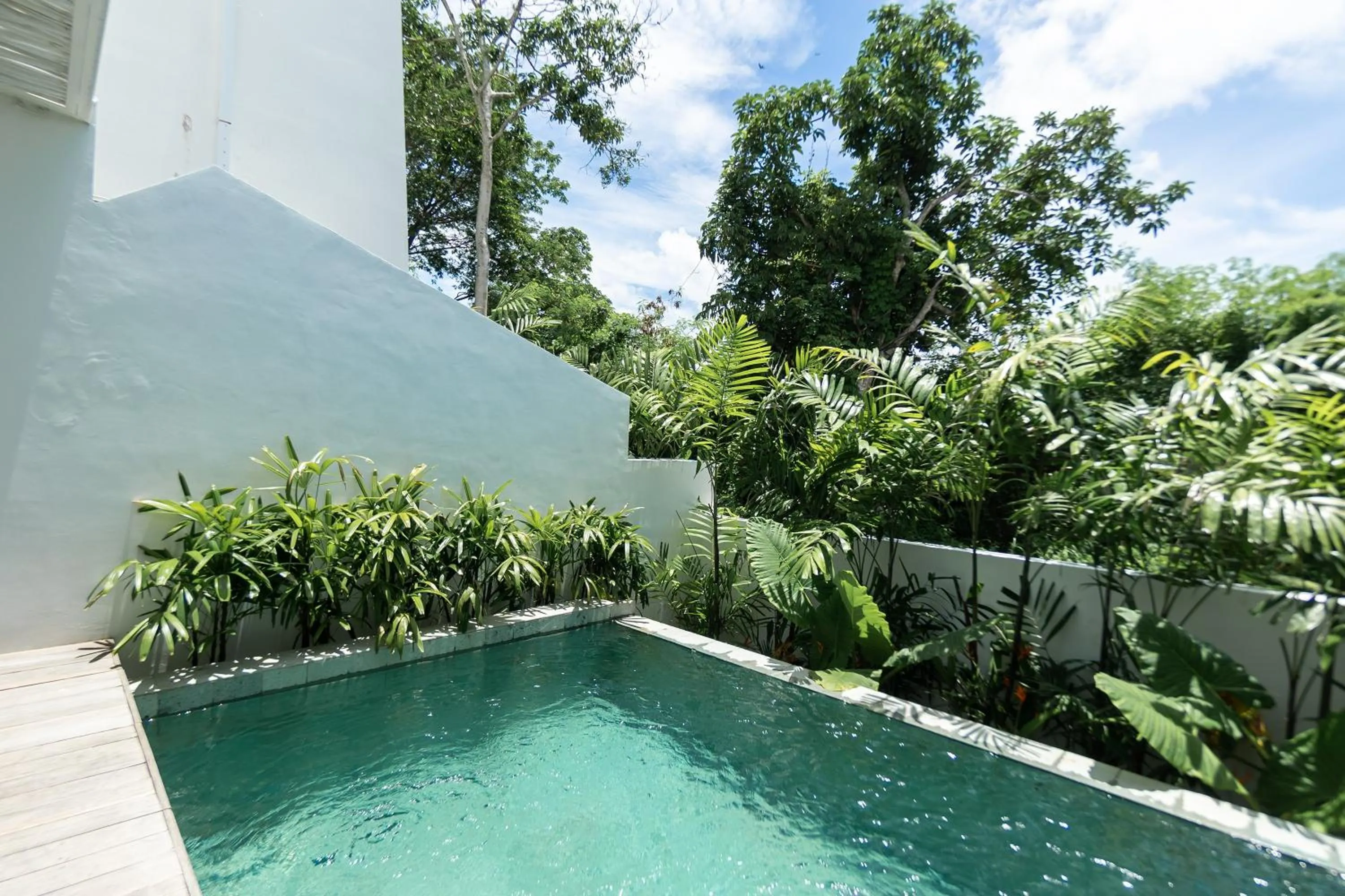 Swimming pool in Mula Villa