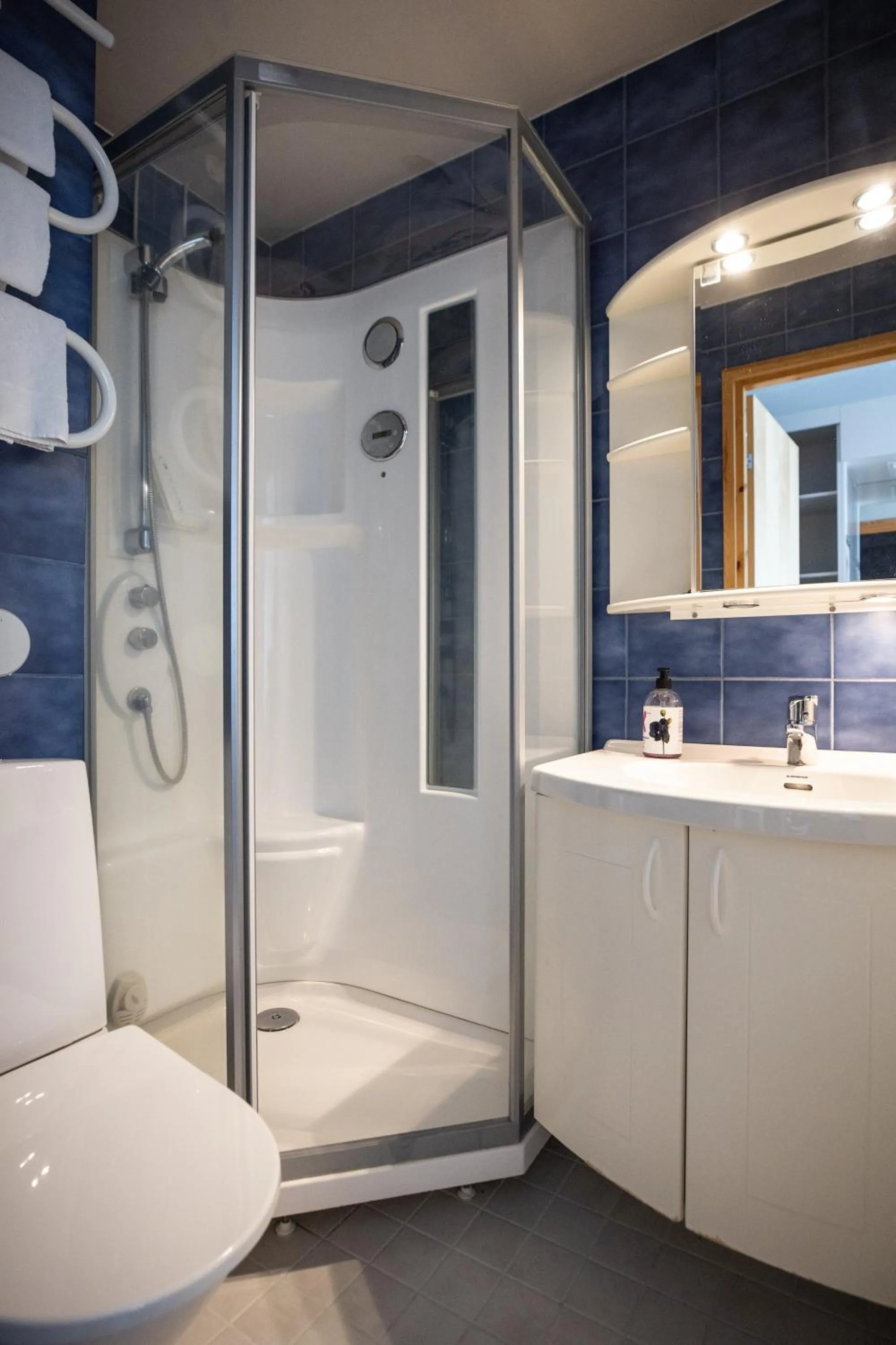 Shower in Hotel Karhu