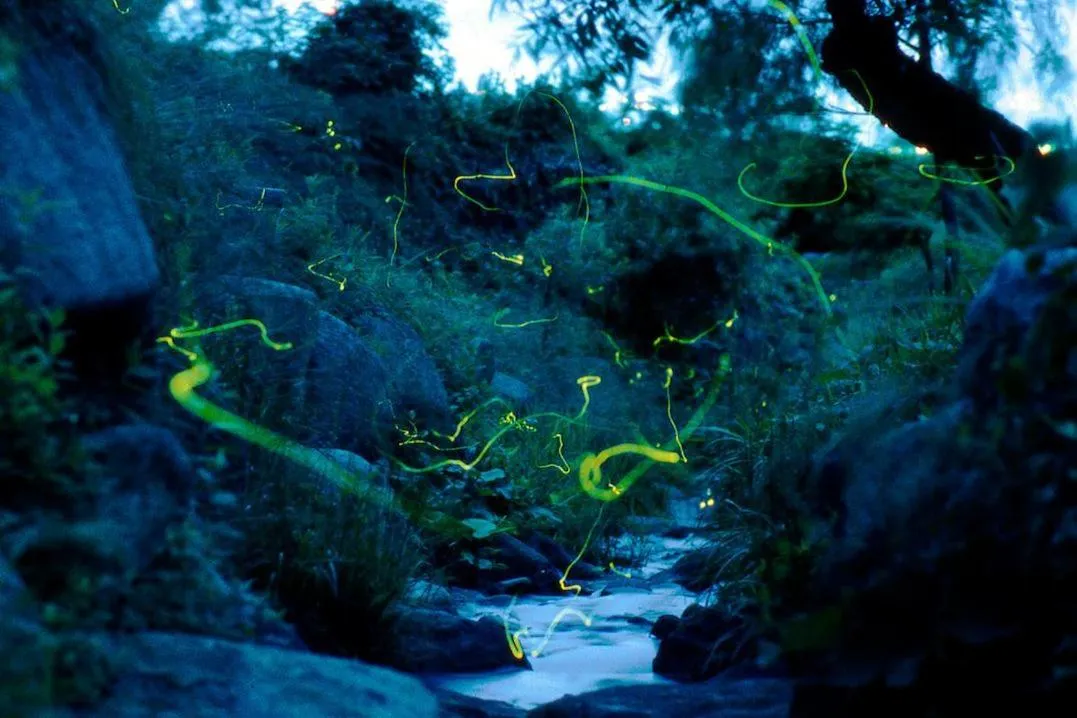 Natural landscape in Tanigawa Valley Lodge & Coffee Roastery