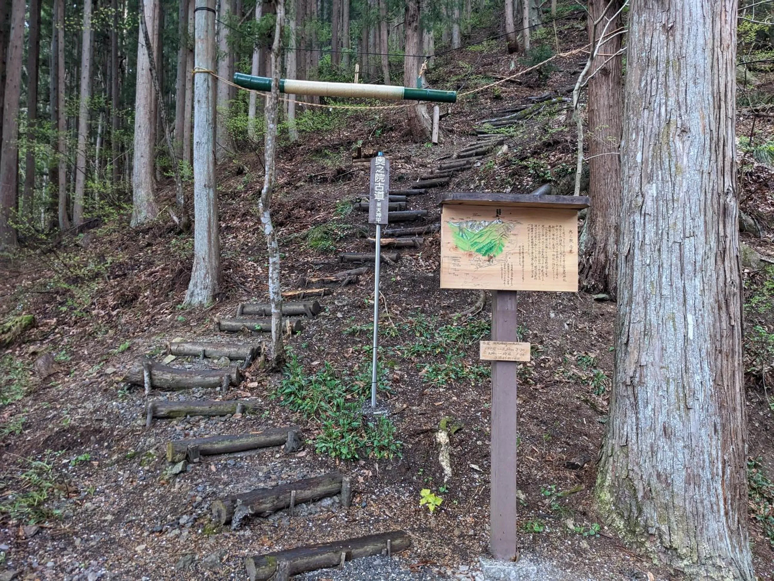 Spring in Tanigawa Valley Lodge & Coffee Roastery