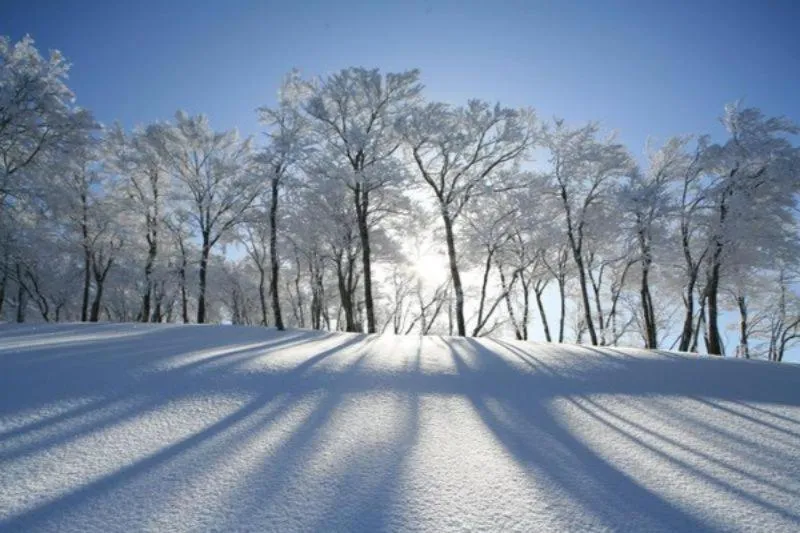 Neighbourhood in Tanigawa Valley Lodge & Coffee Roastery