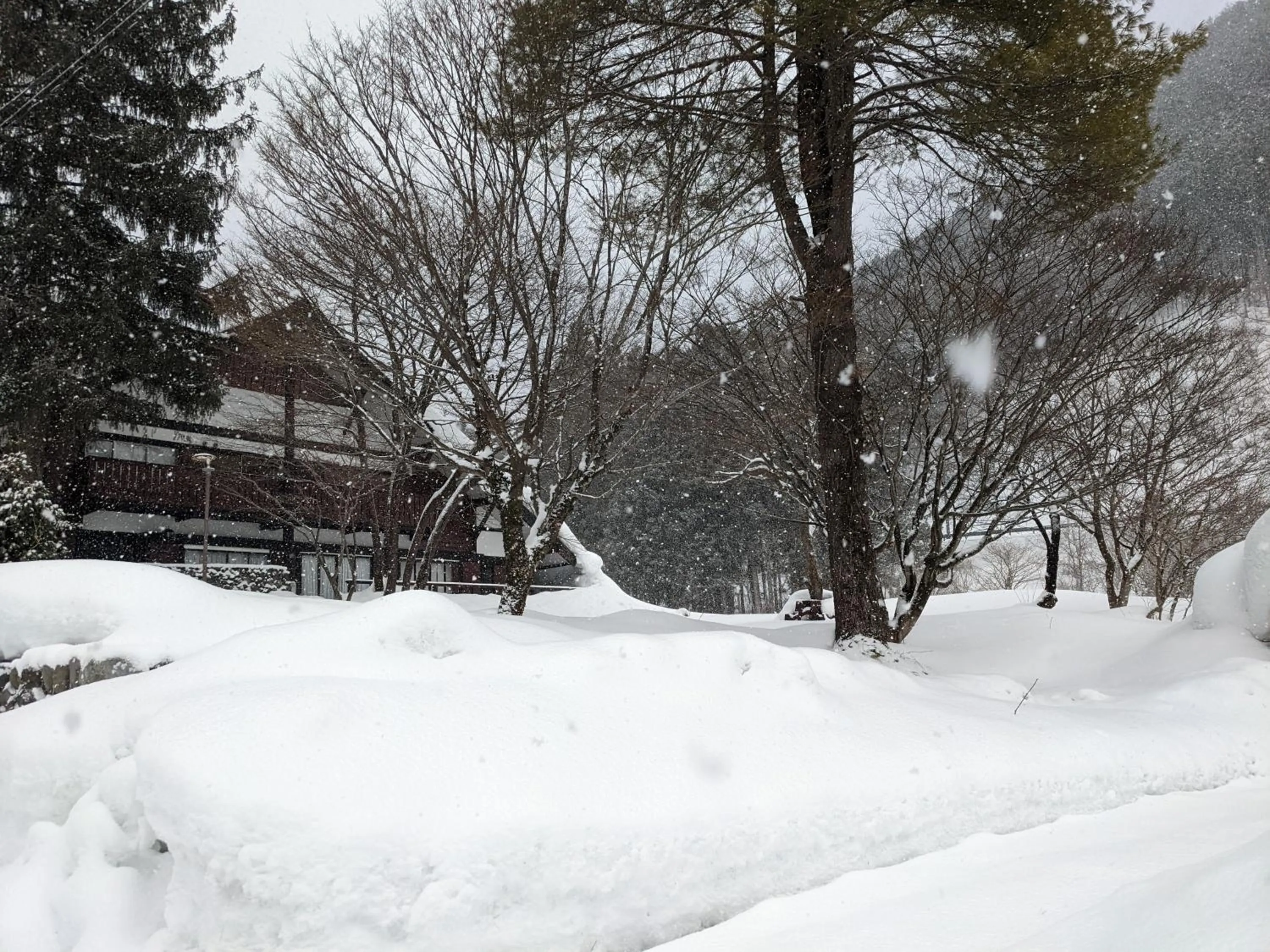 Natural landscape in Tanigawa Valley Lodge & Coffee Roastery