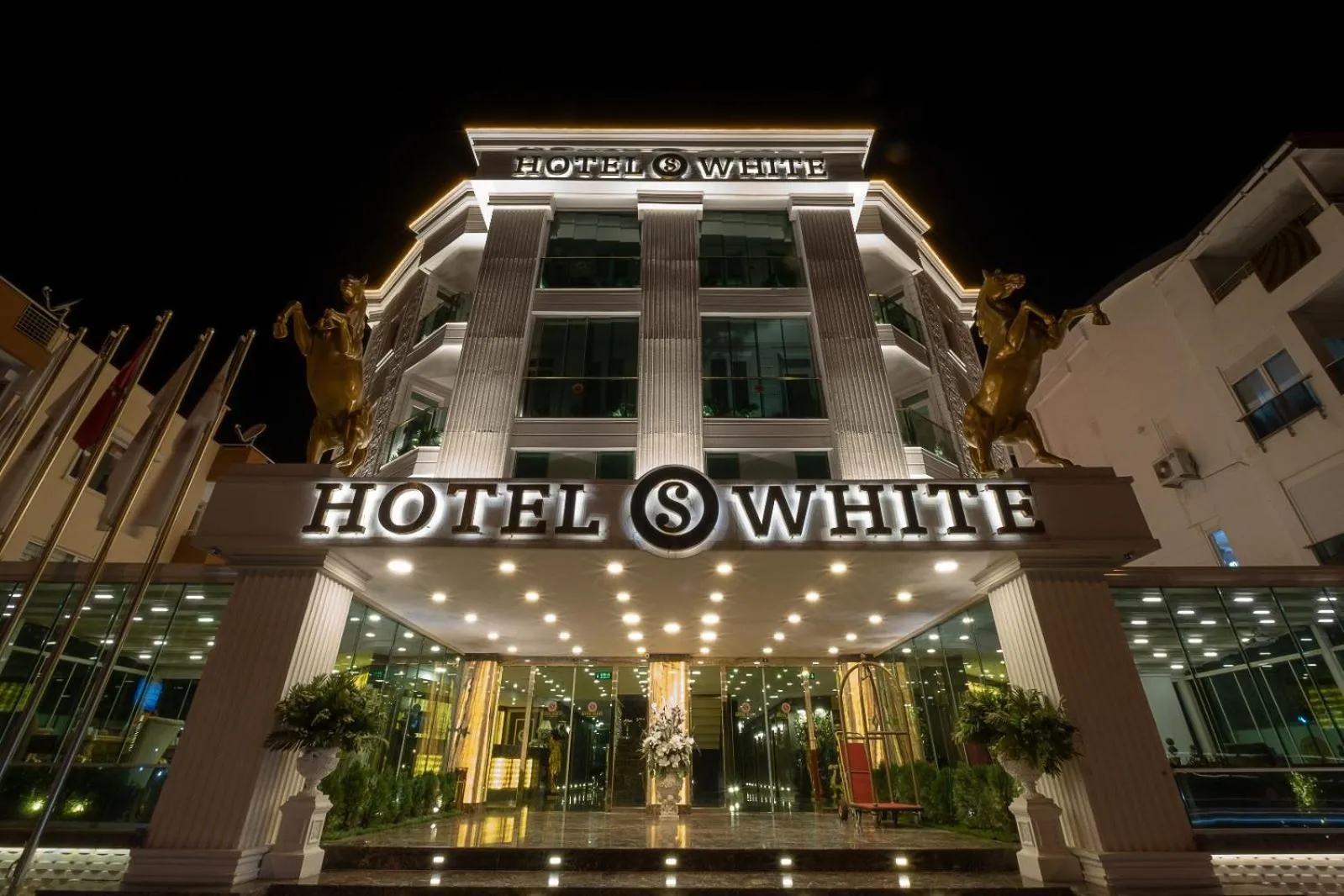 Property building in HOTEL S WHITE