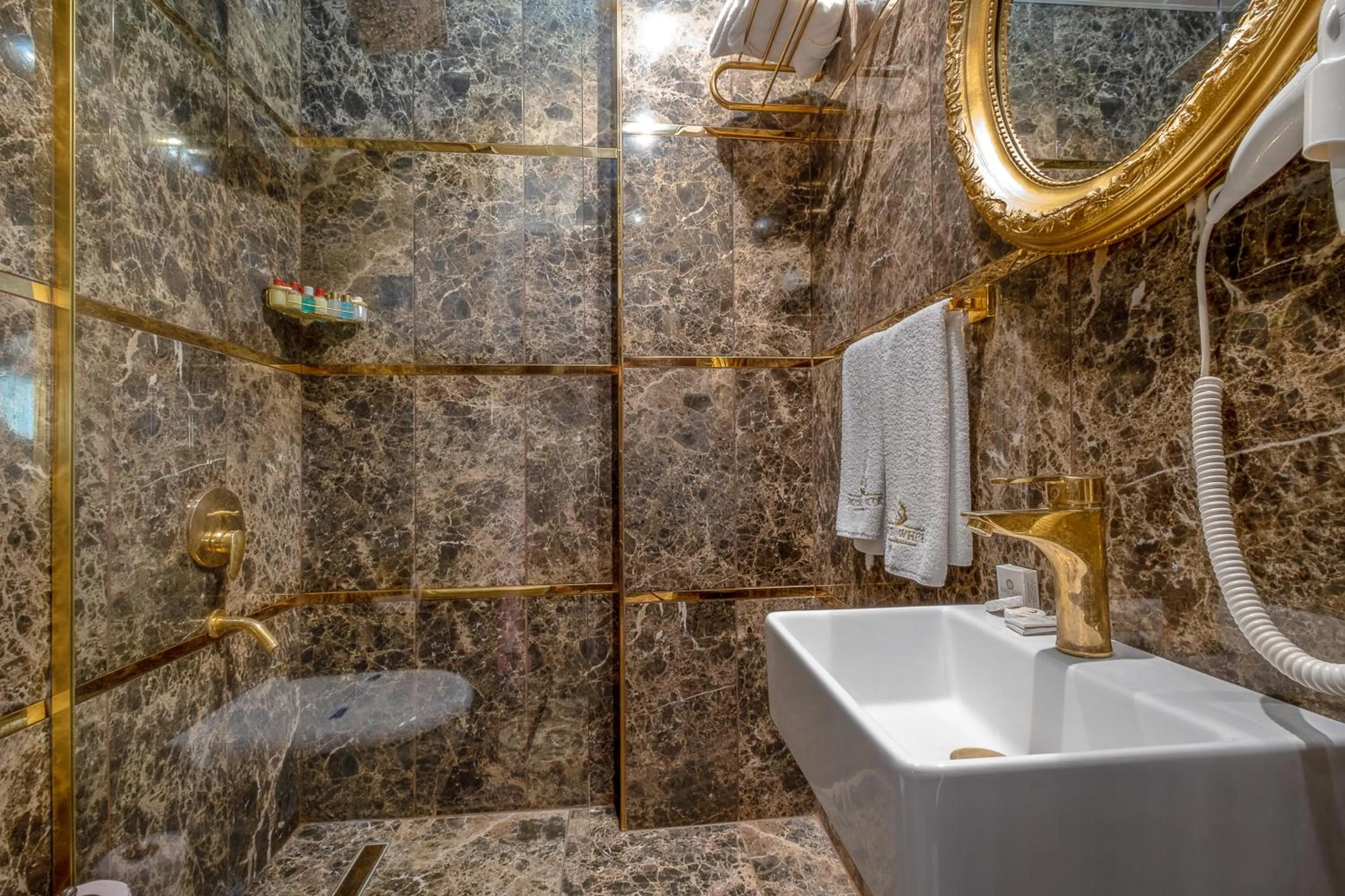 Shower in HOTEL S WHITE