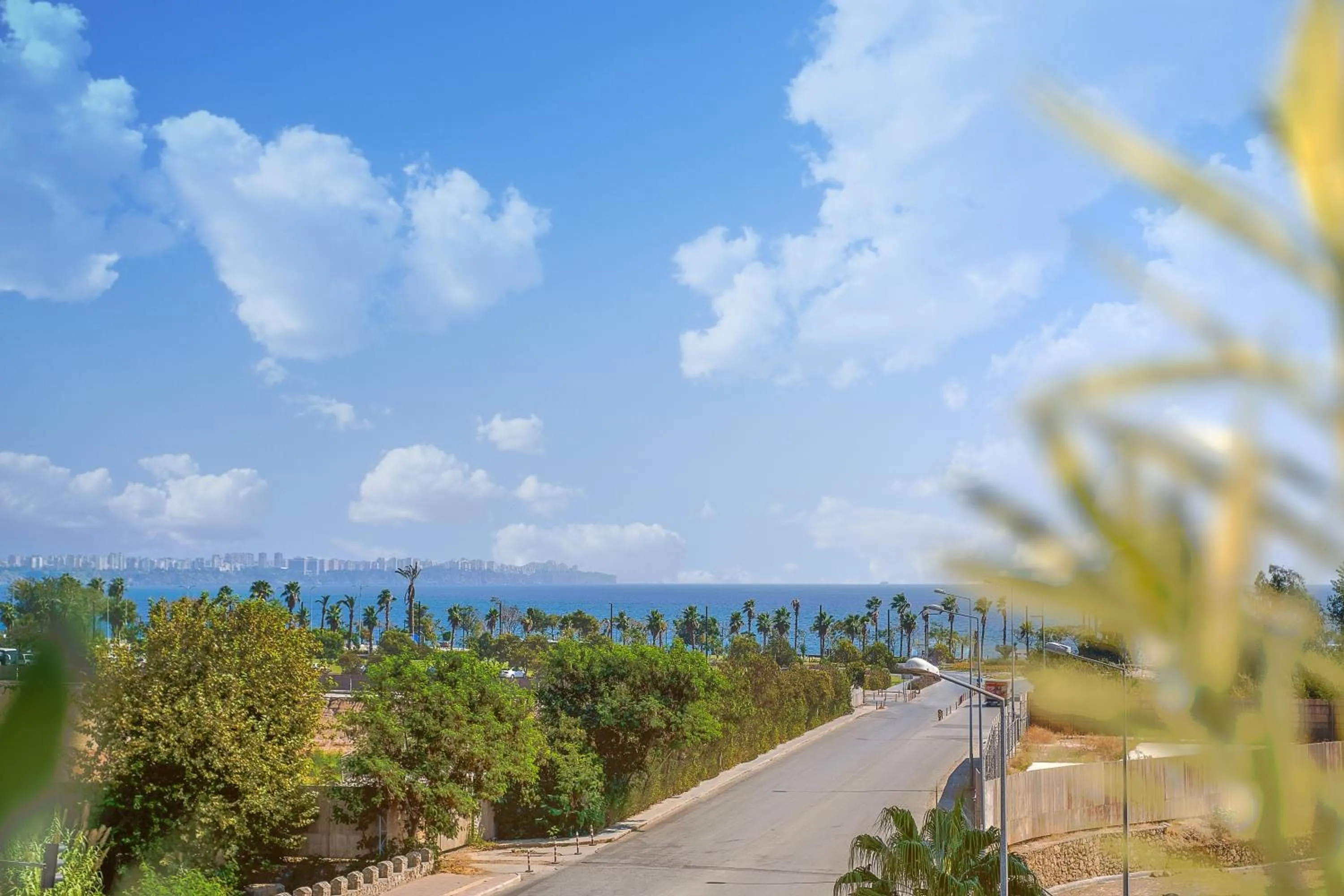 View (from property/room) in HOTEL S WHITE