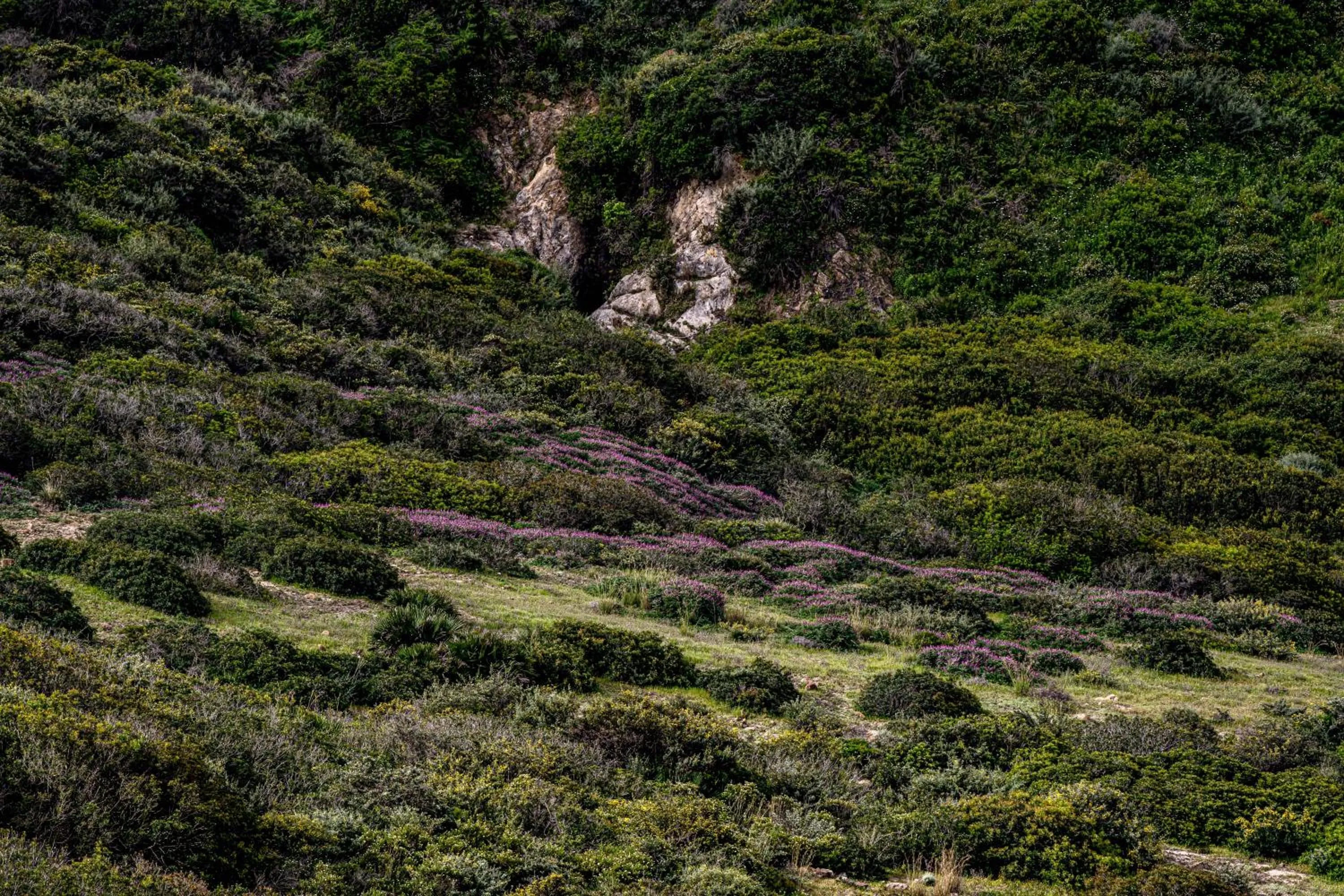 View (from property/room) in La Fiermontina Ocean