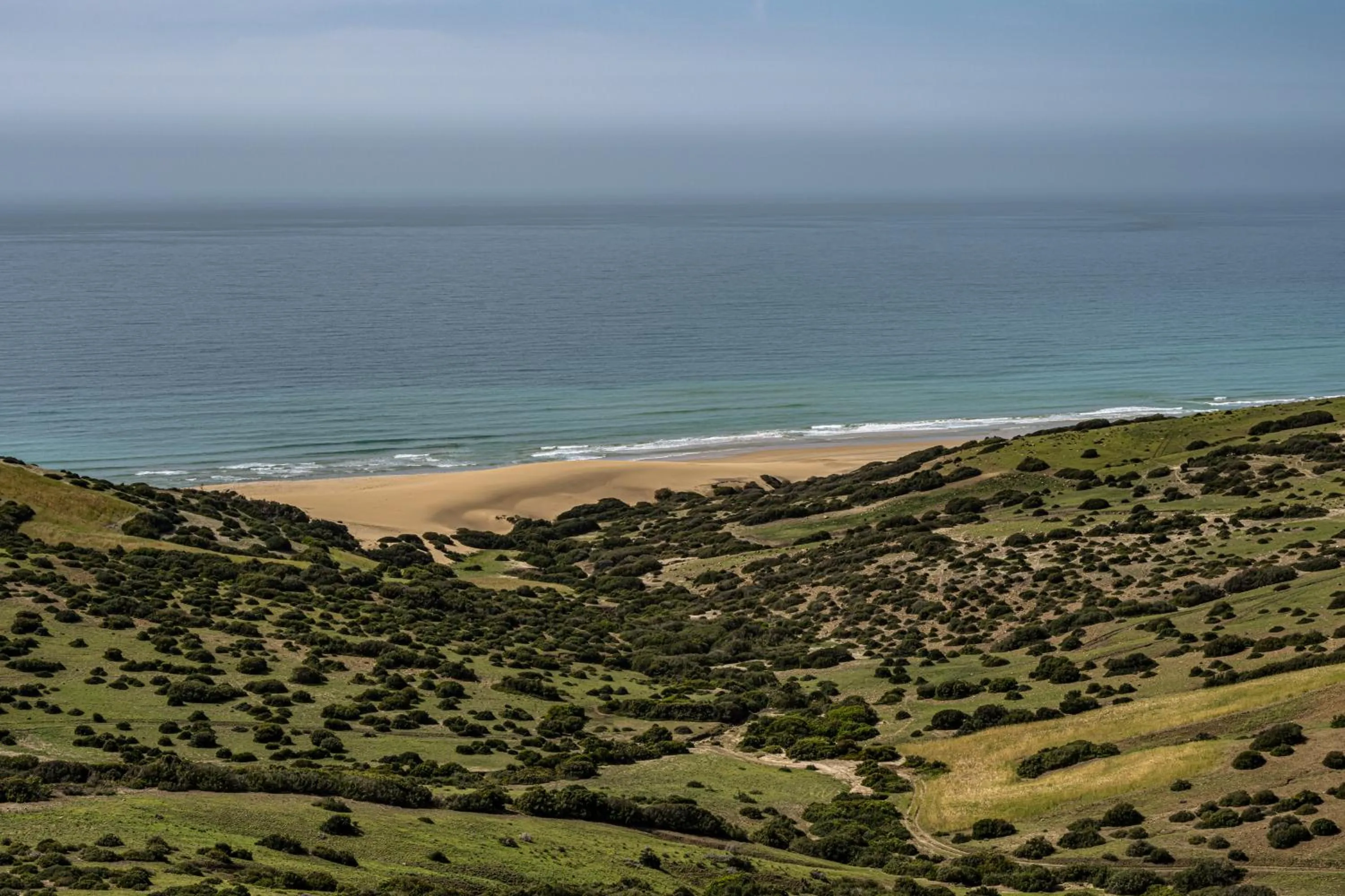 Beach in La Fiermontina Ocean