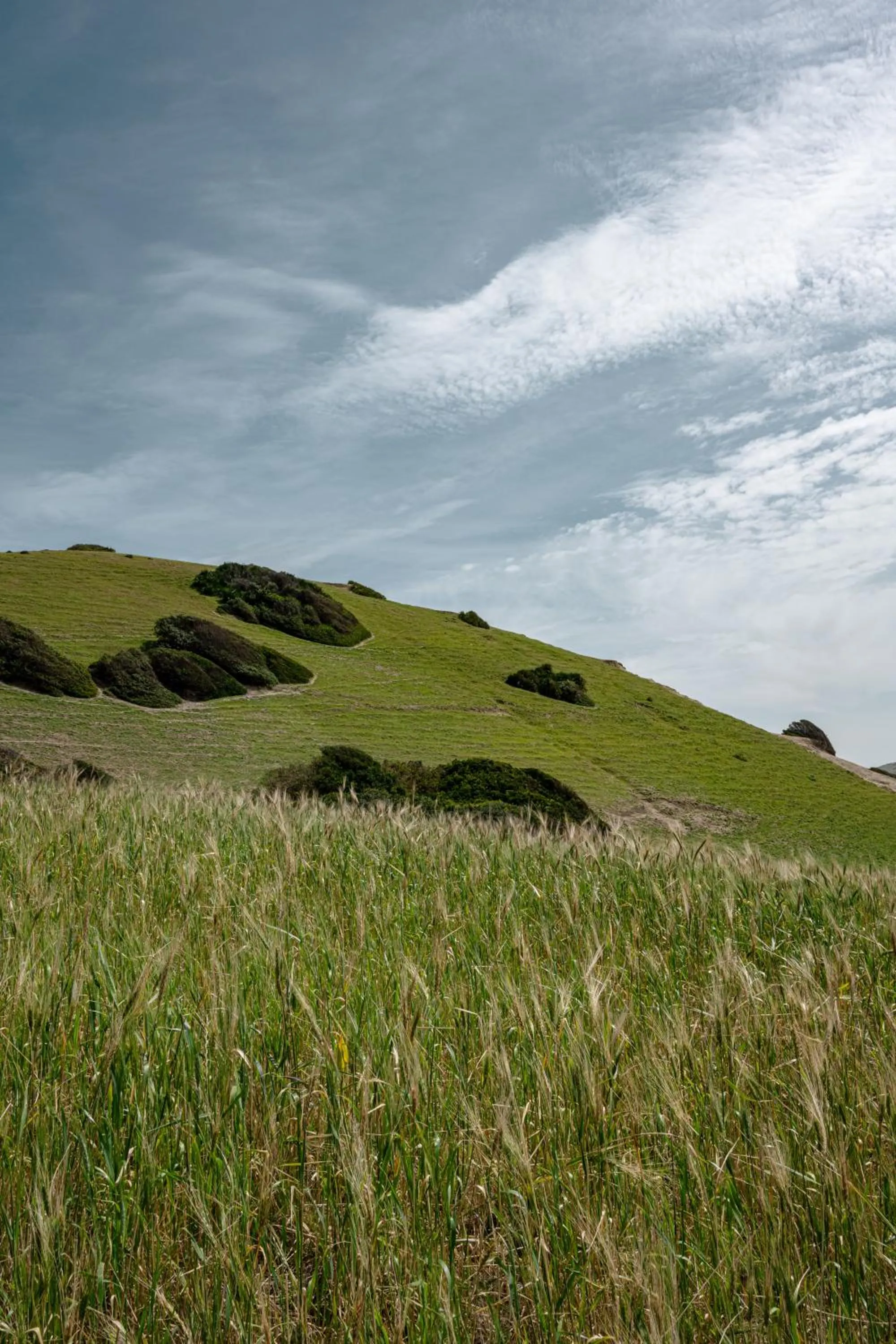 Nearby landmark in La Fiermontina Ocean