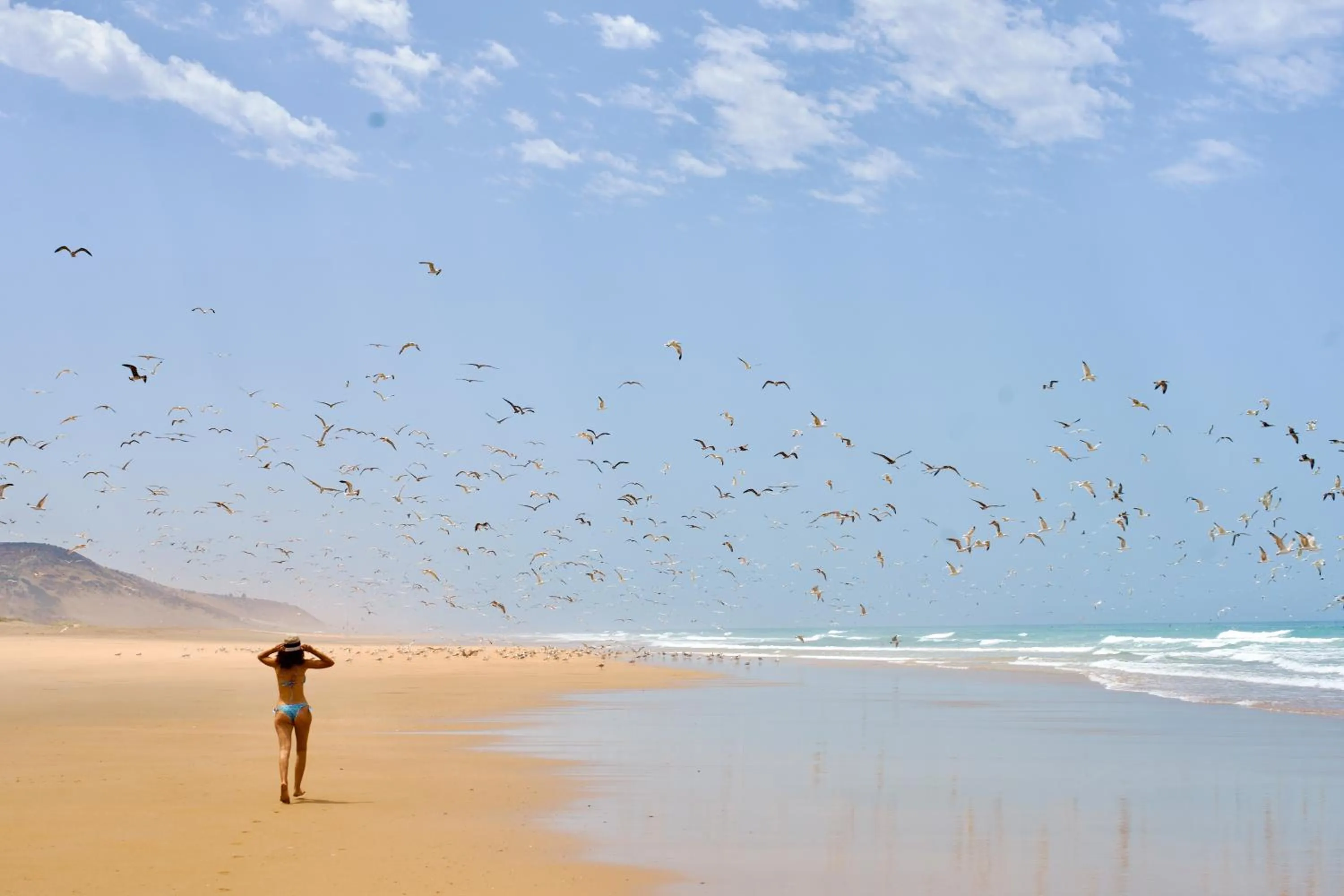 Natural landscape in La Fiermontina Ocean