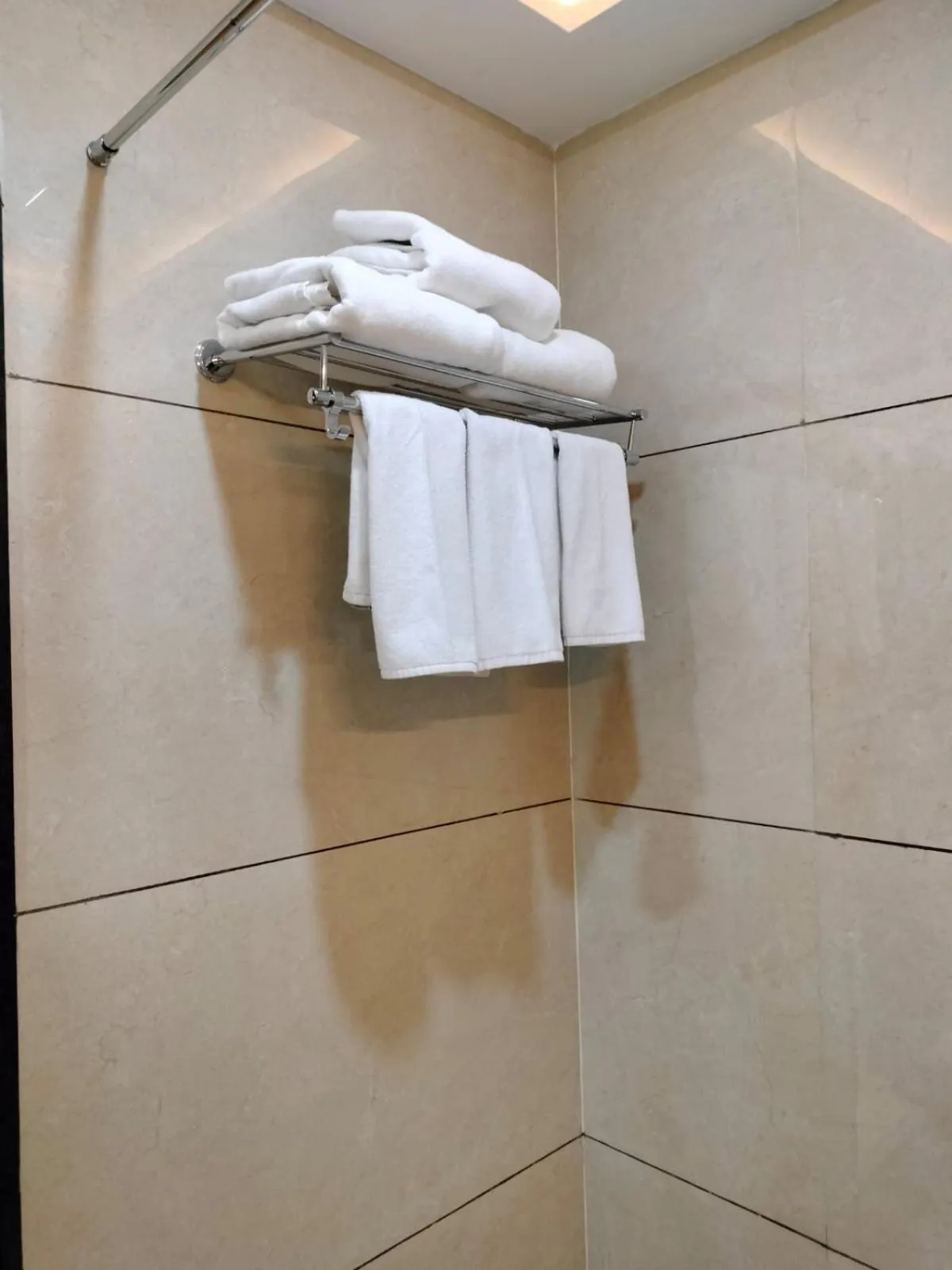 Bathroom in Hotel Dolphin Grand