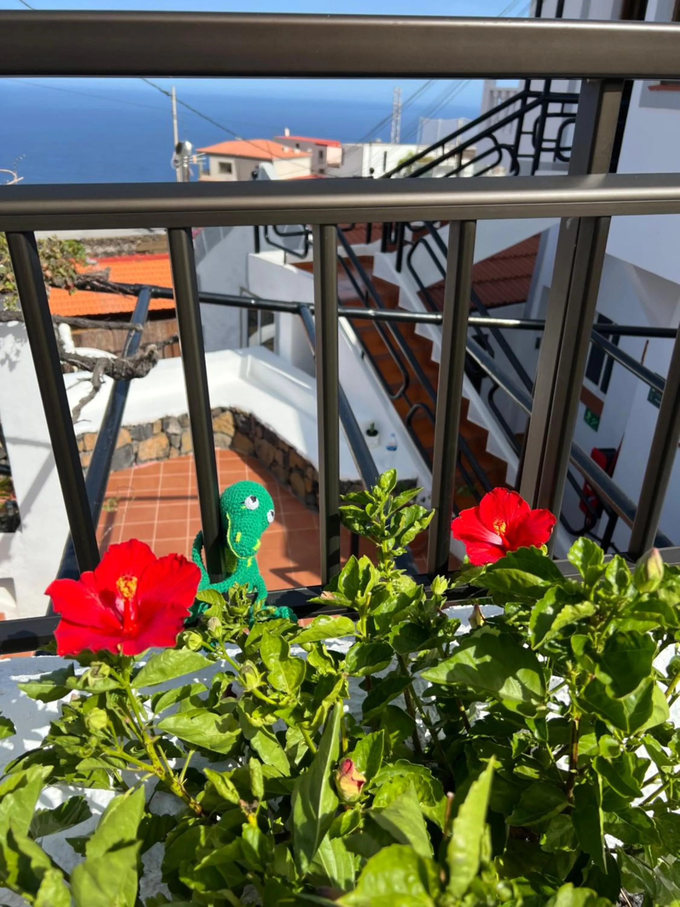 Garden view in Geko Hotels