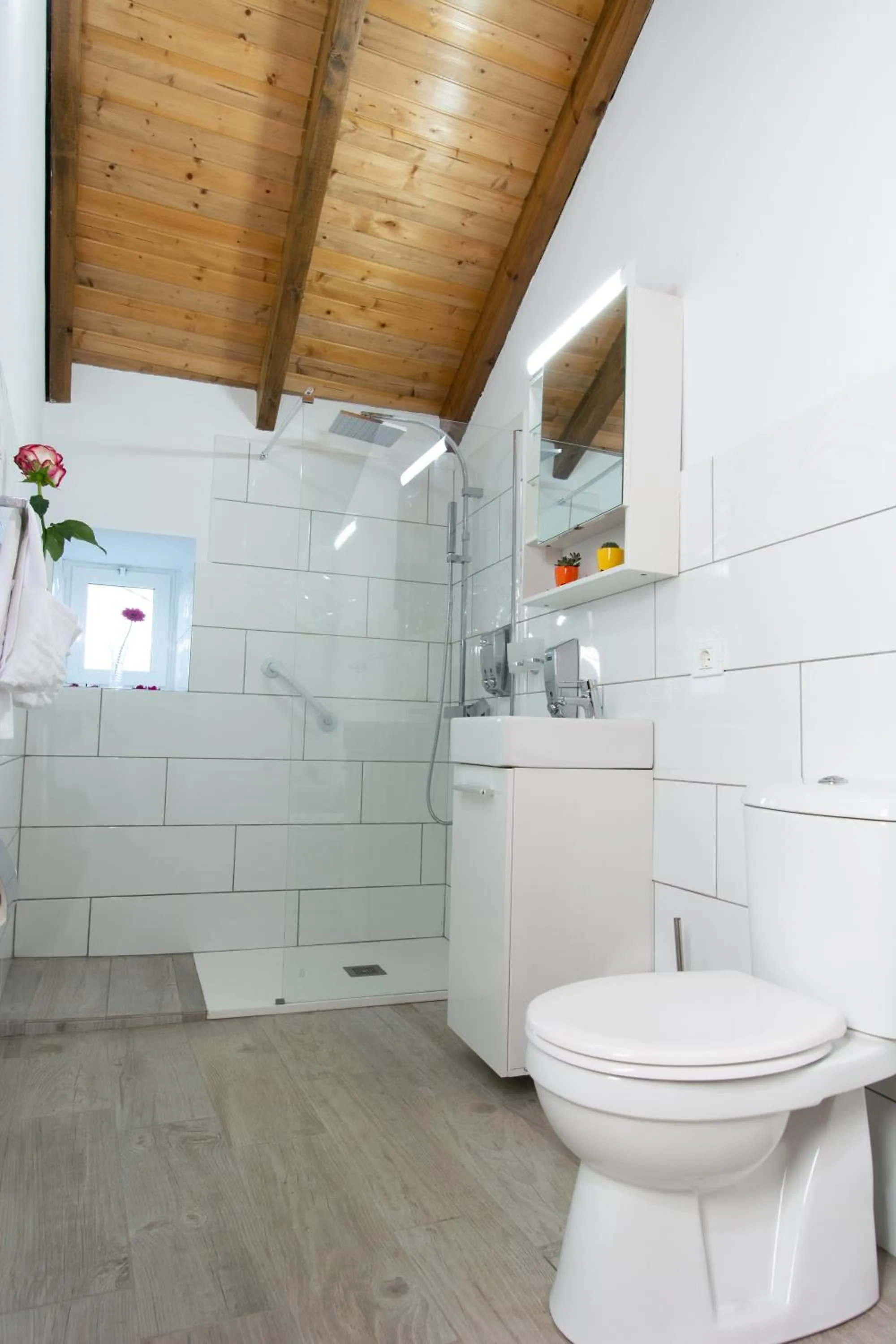 Shower in Geko Hotels