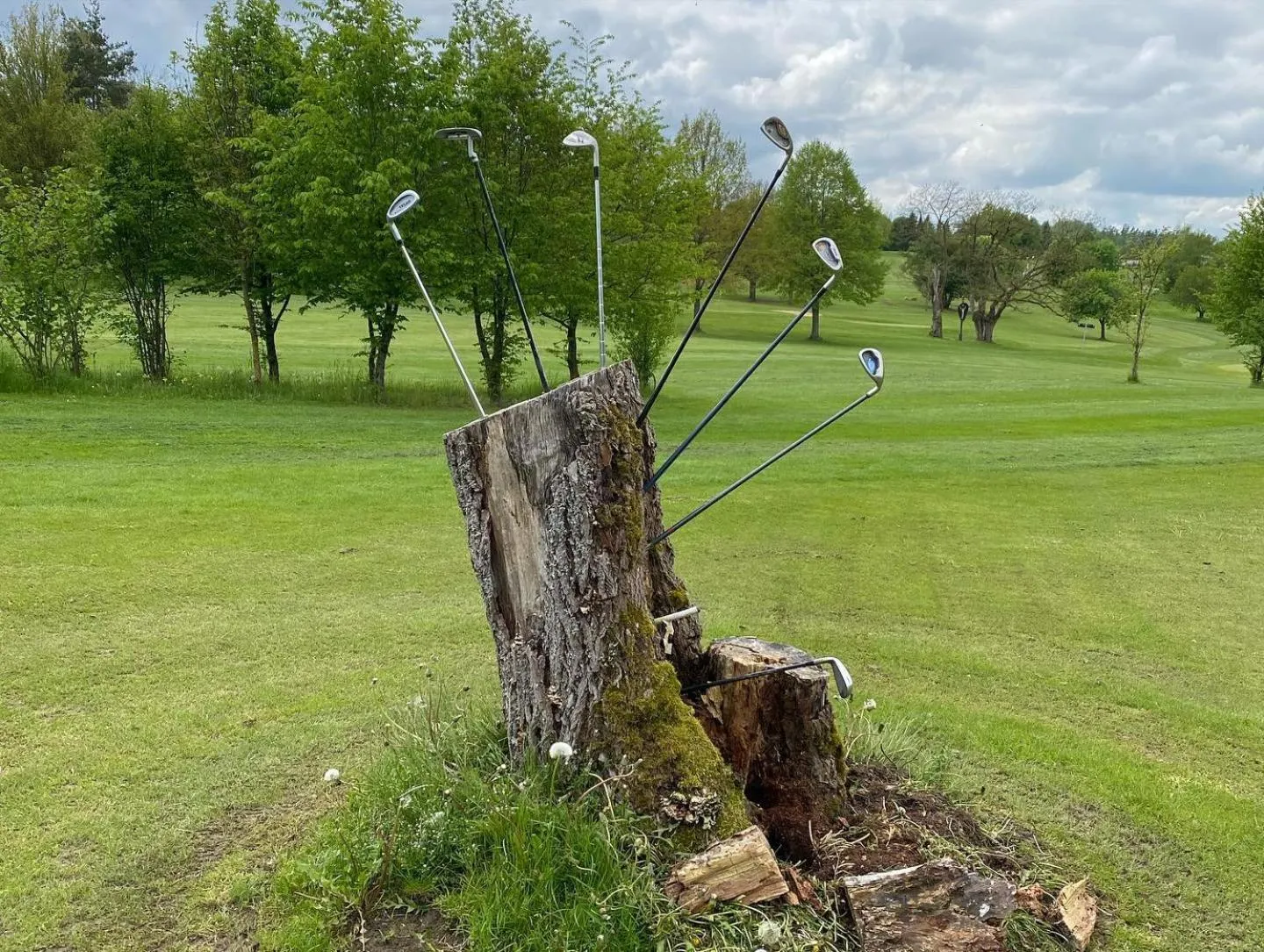 Sports in Aparthotel Parsberg GreenDesign