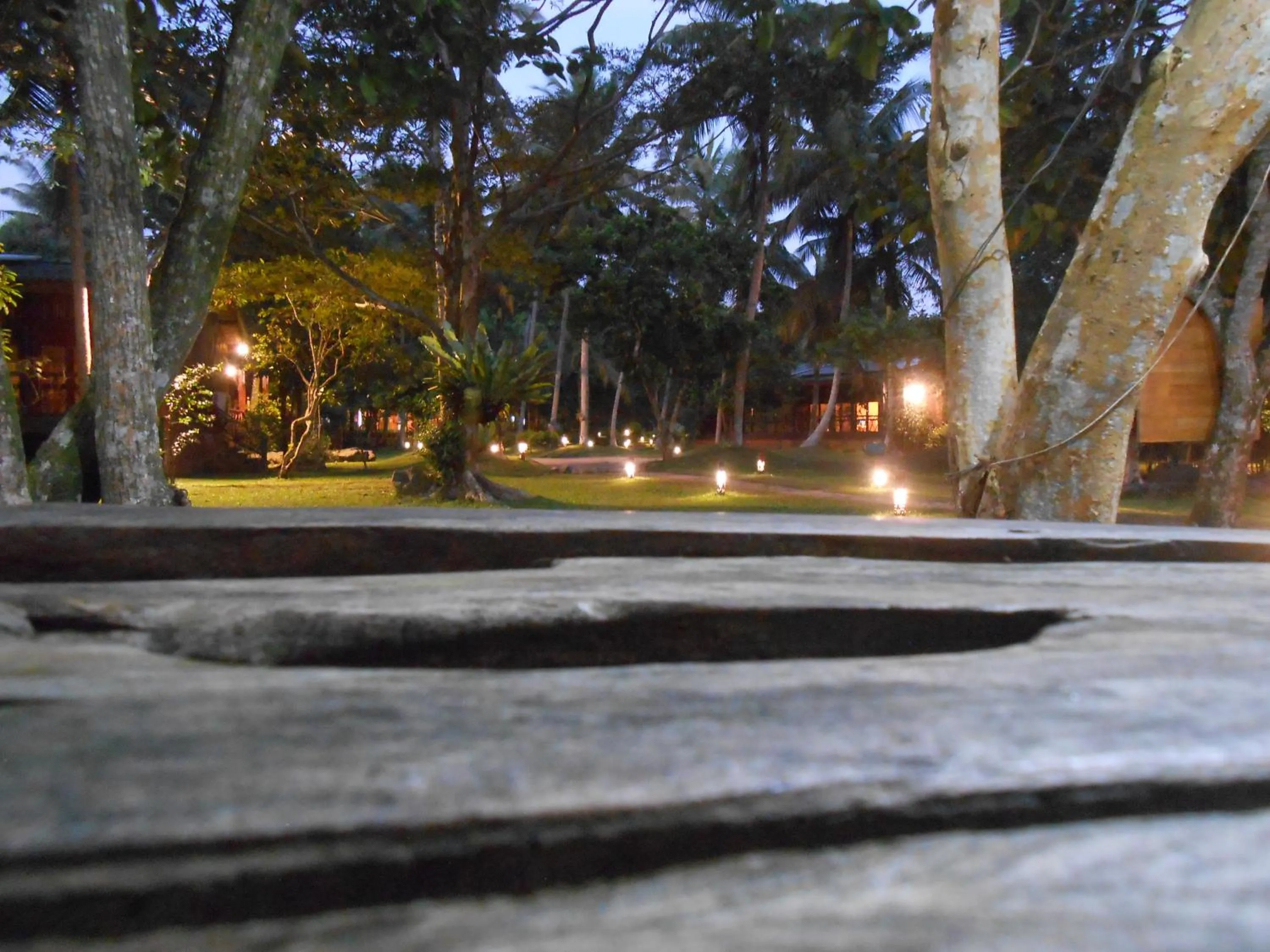 Garden view in Lake Resort Bolgoda