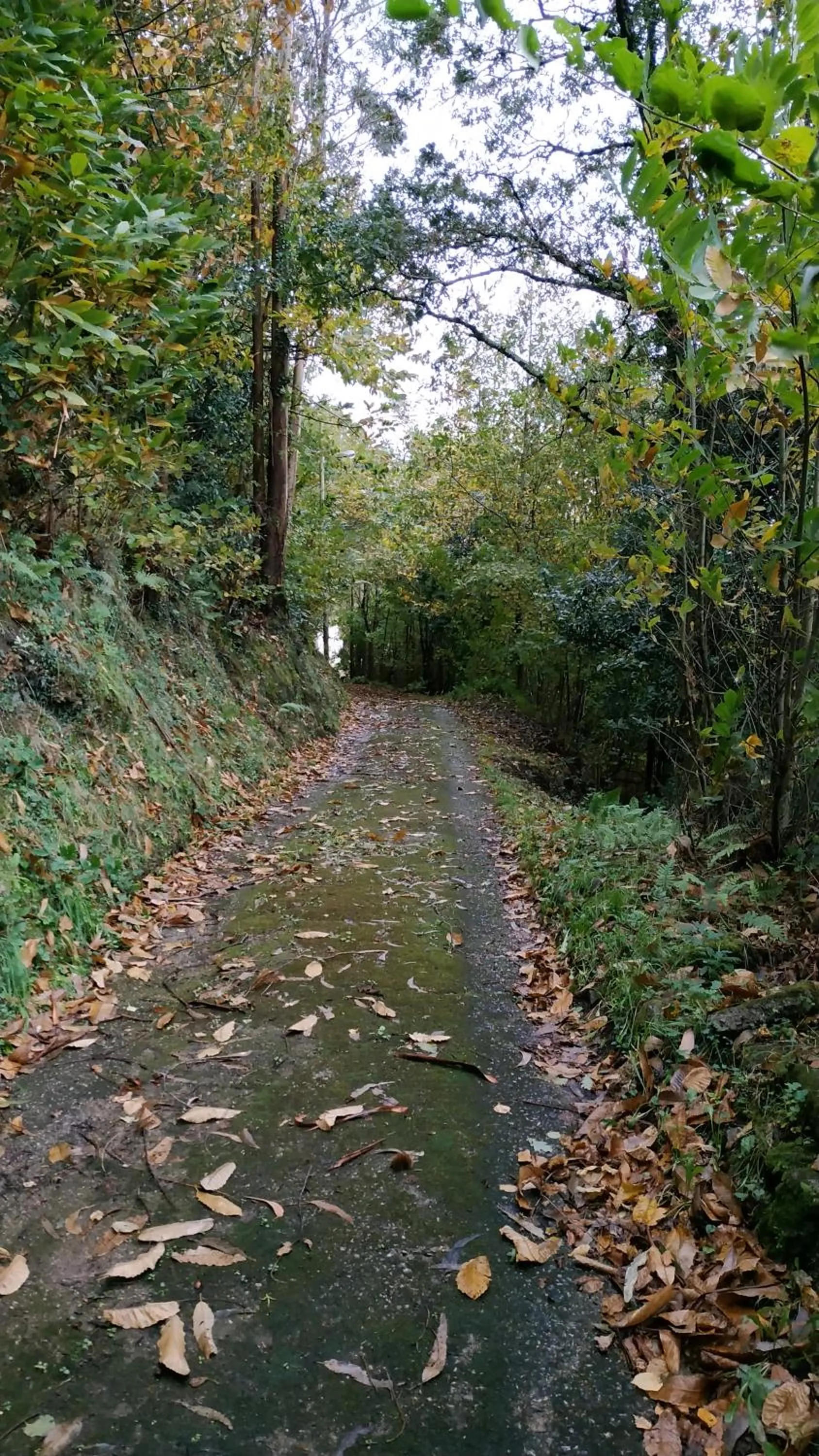 Natural landscape in Hotel Casa Vieja del Sastre