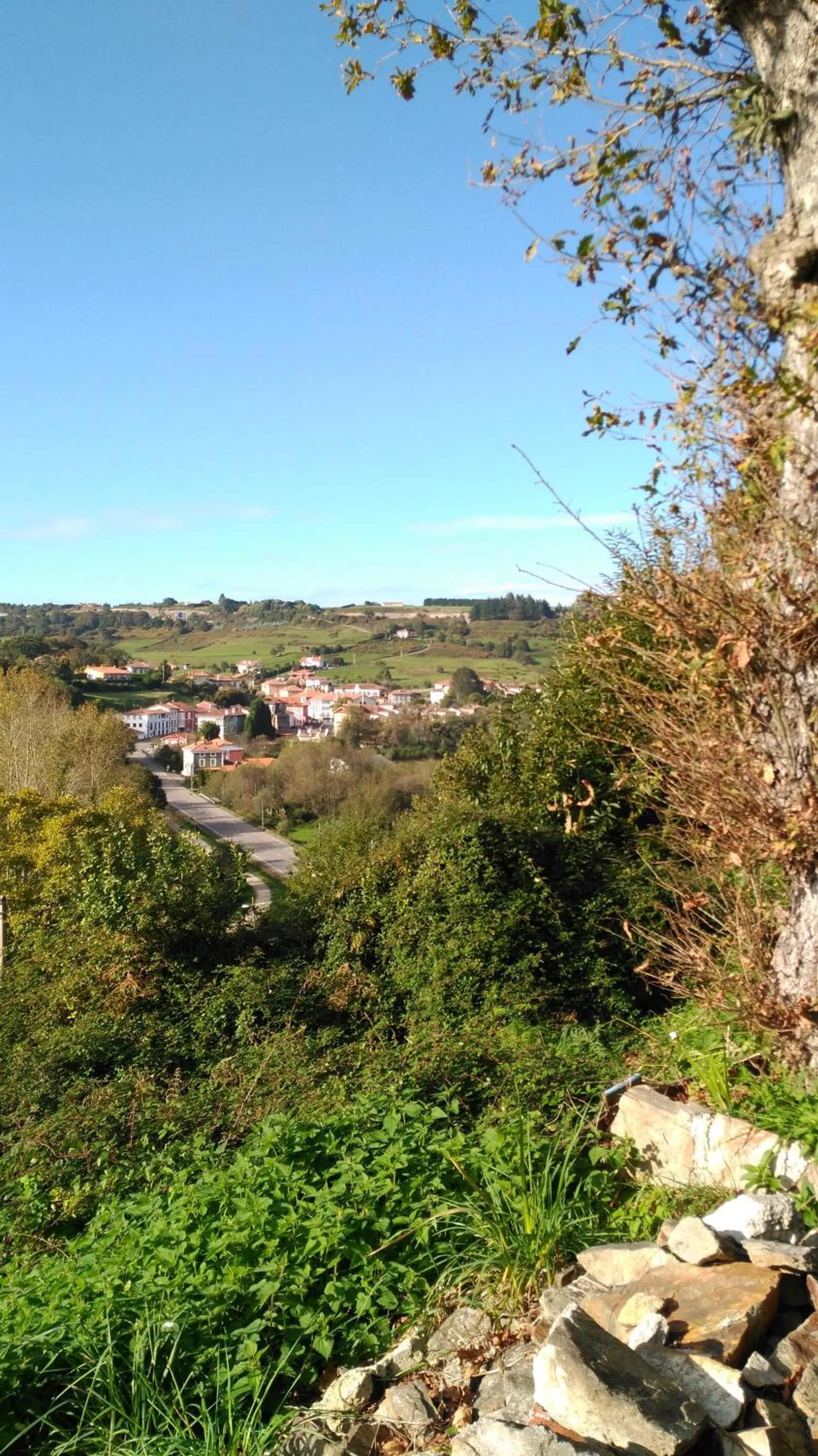 Natural landscape in Hotel Casa Vieja del Sastre