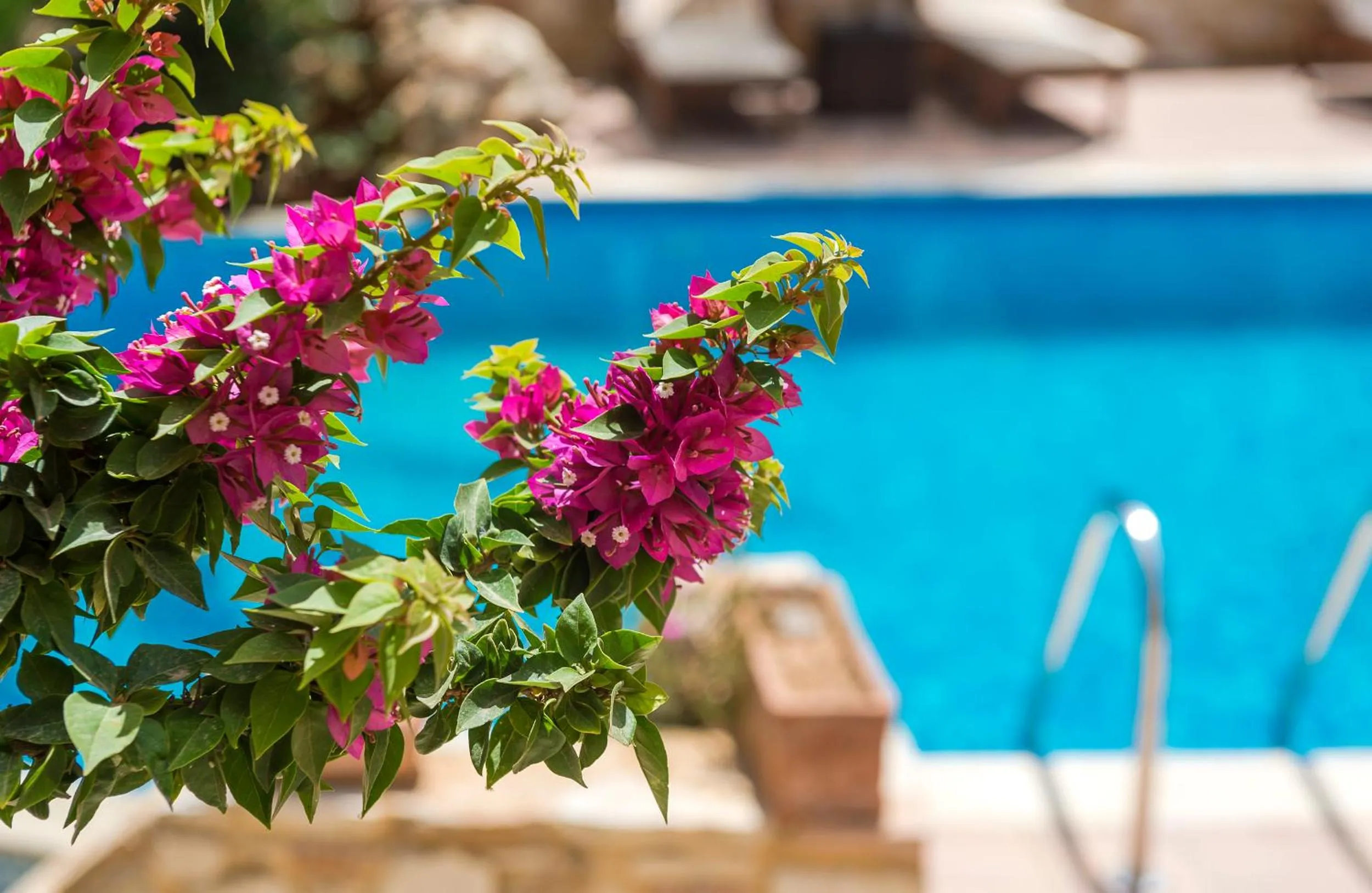 Day in Mistral Hotel - For Solo Travelers