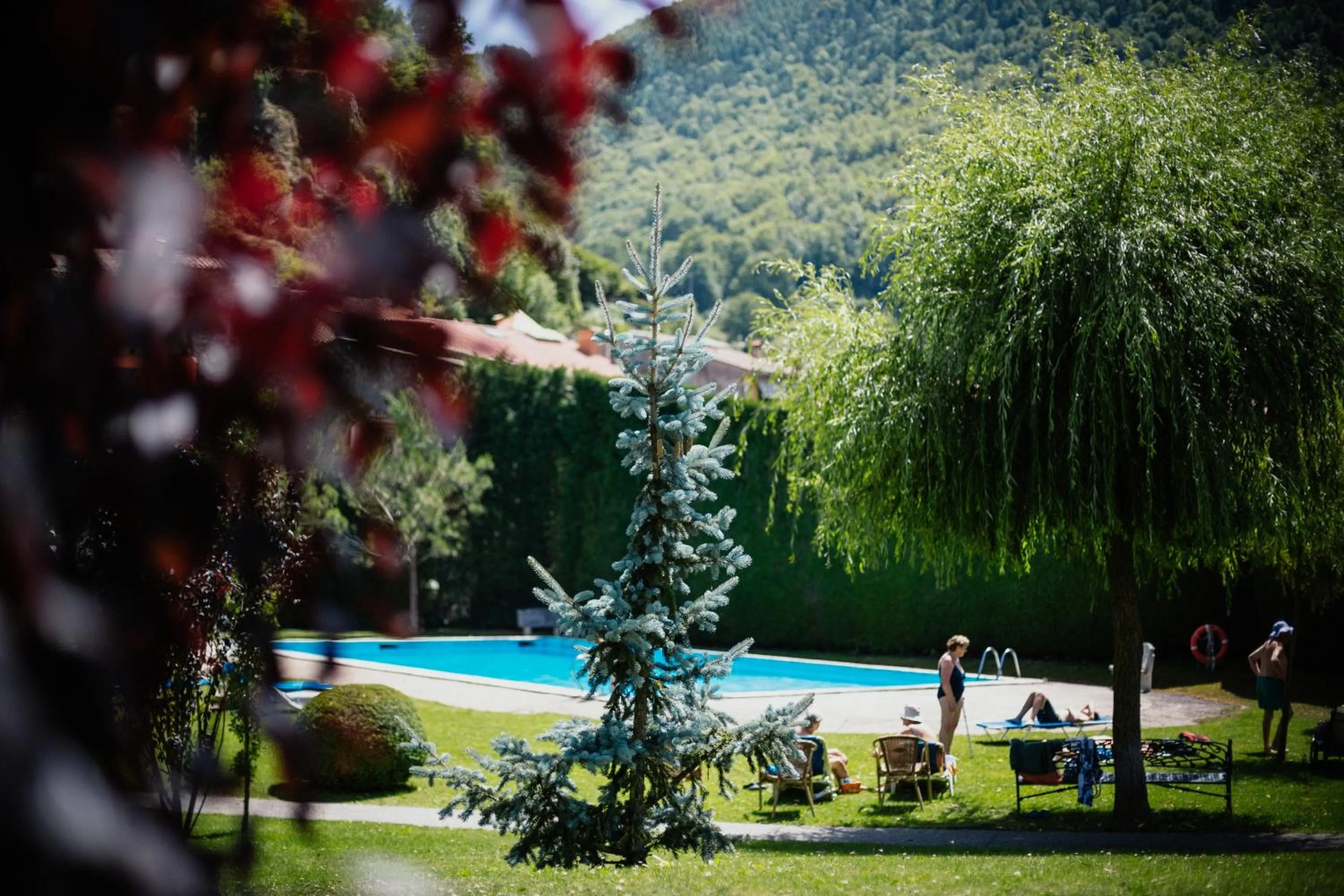 Garden in Hotel de Camprodón