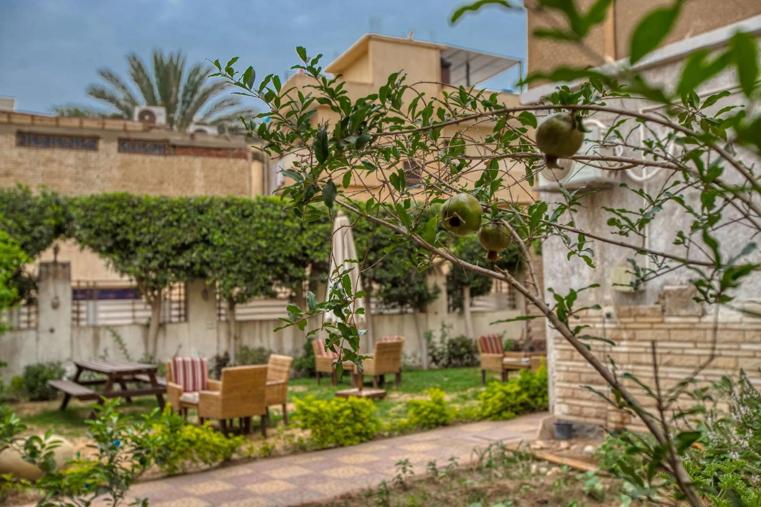 Garden in Villa Khufu Pyramids Hotel
