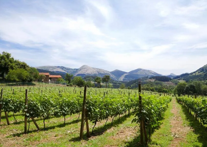 Hotel Palacio Muñatones