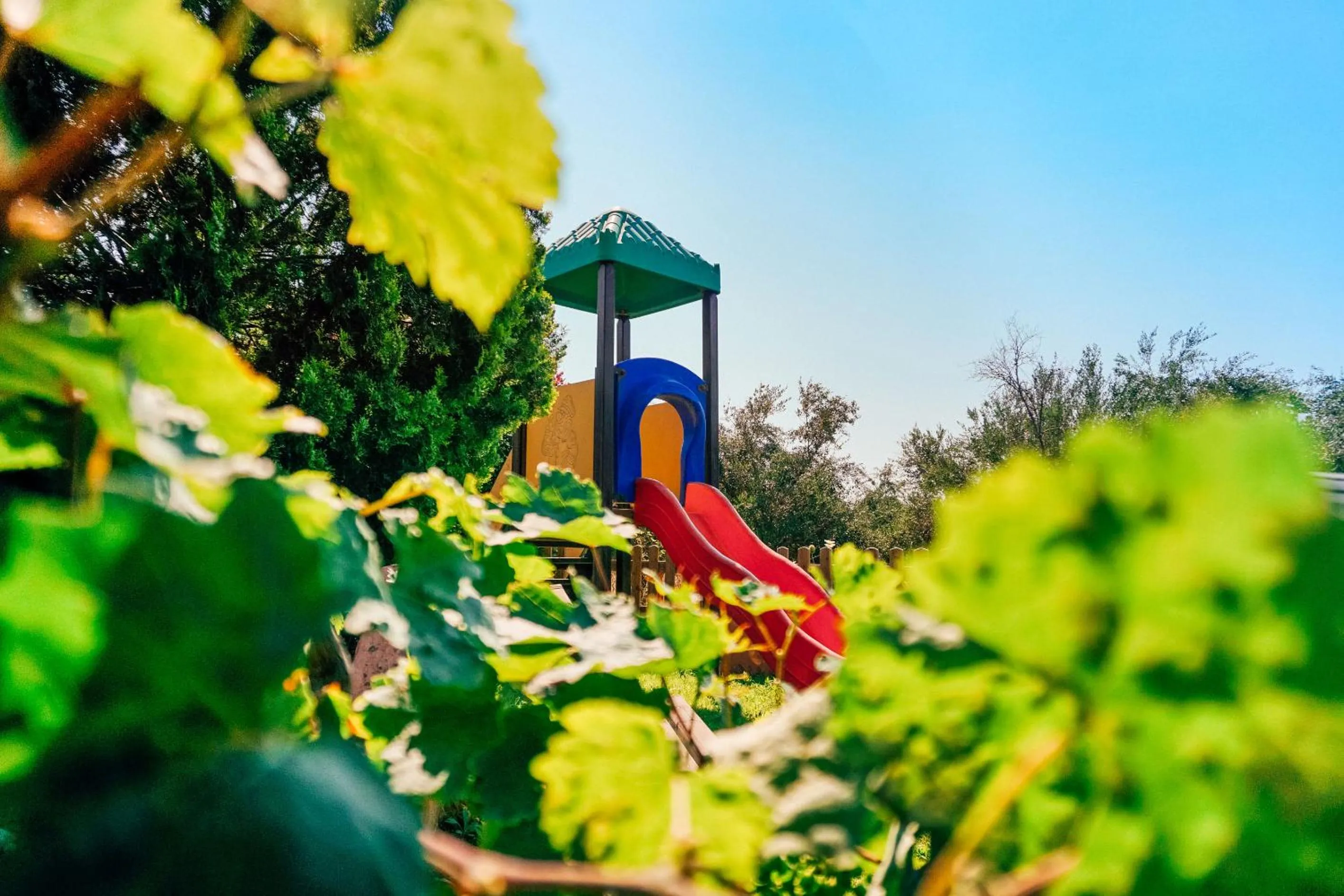 Children play ground in Apollo Resort Art Hotel