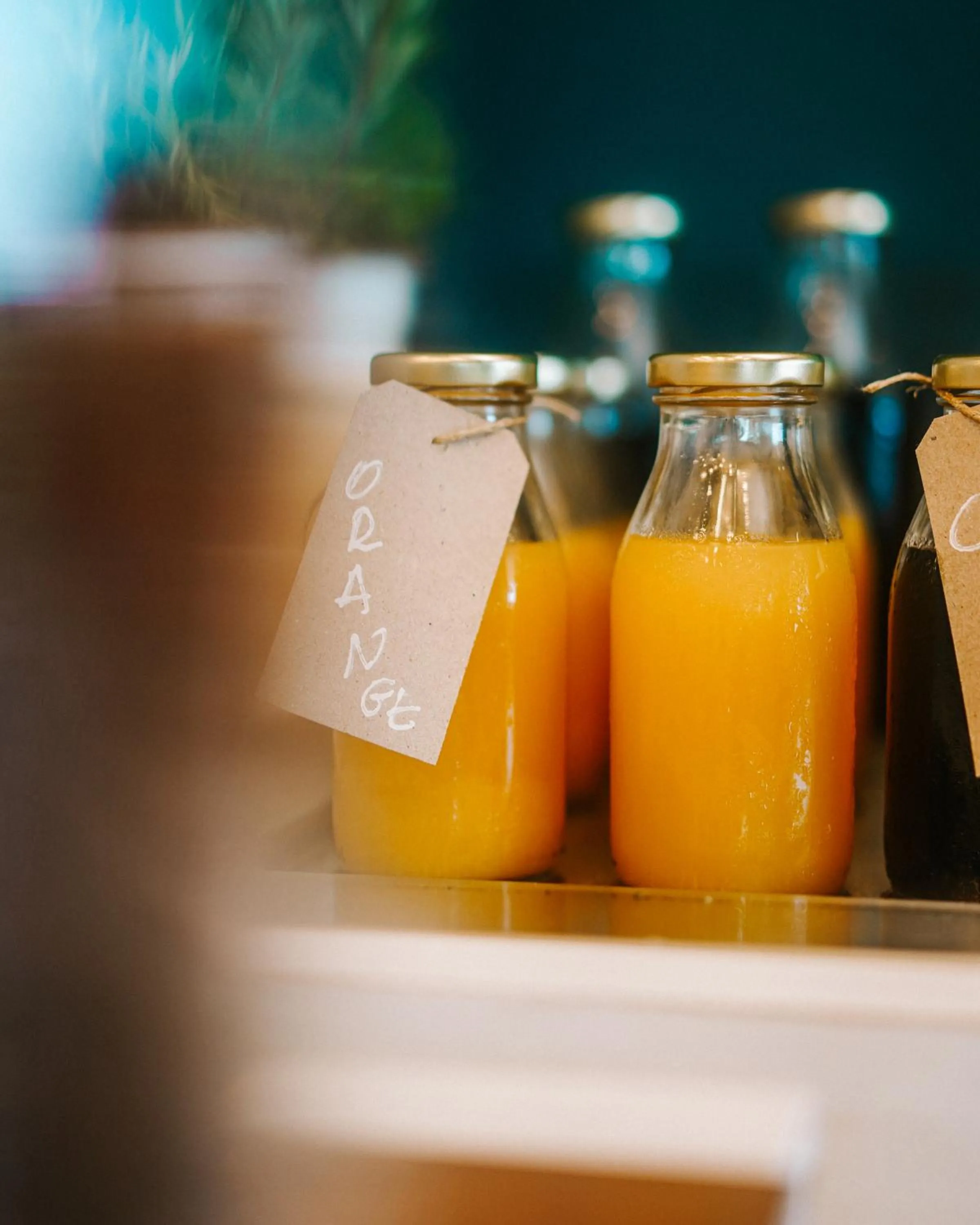 Breakfast in Apollo Resort Art Hotel