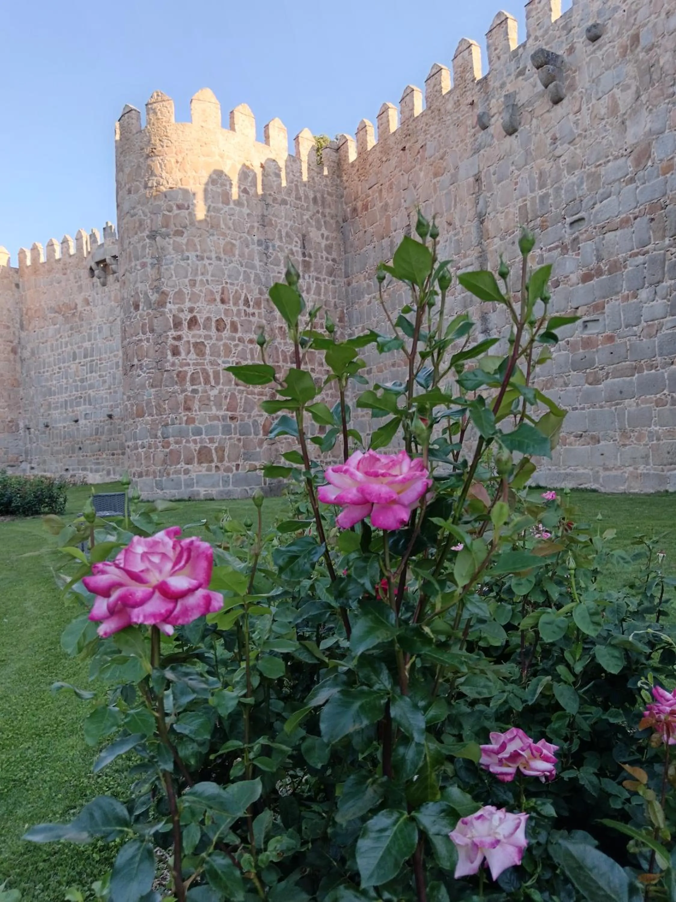 Nearby landmark in Hotel Don Carmelo