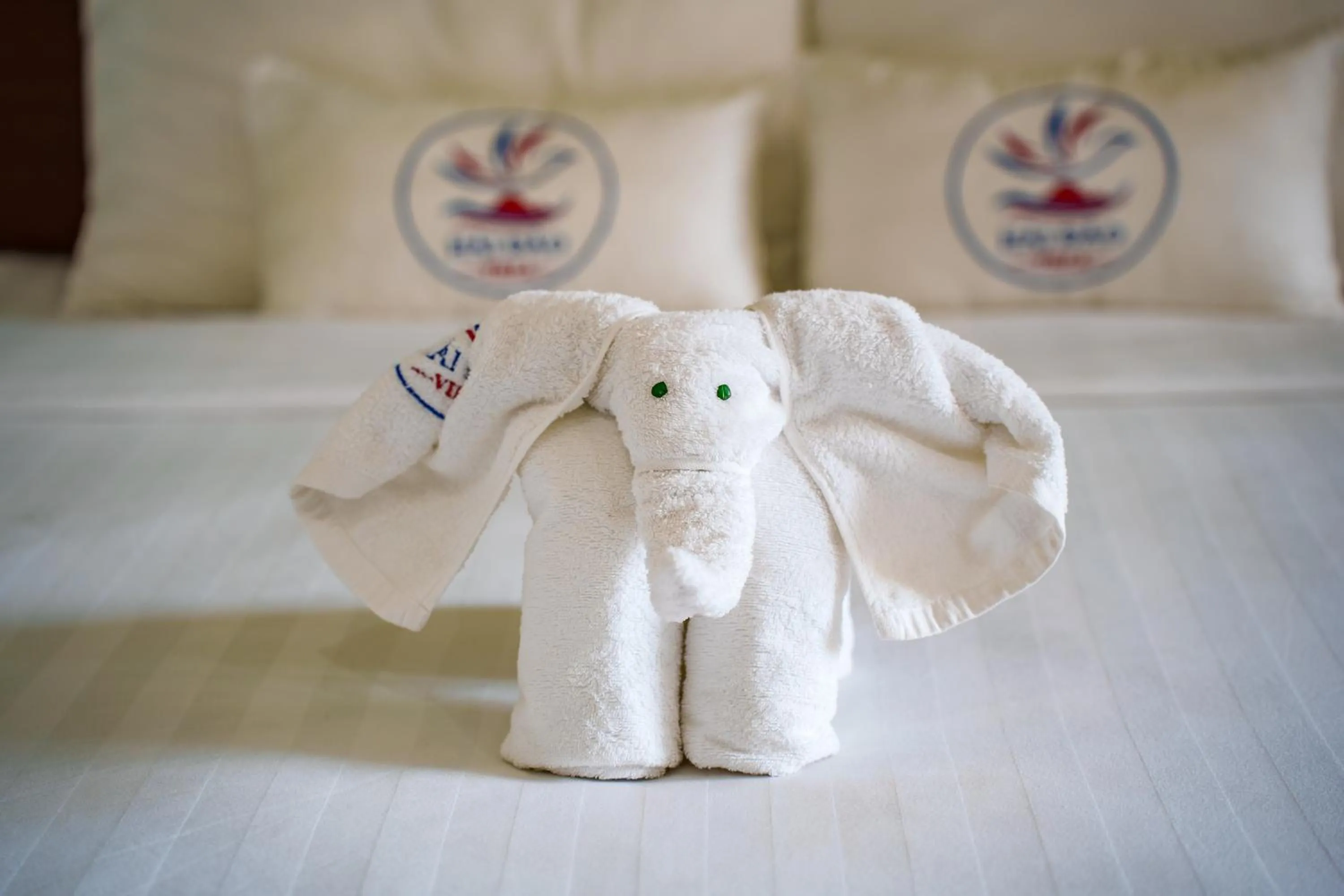 Decorative detail in HAI DAO HOI AN VILLA